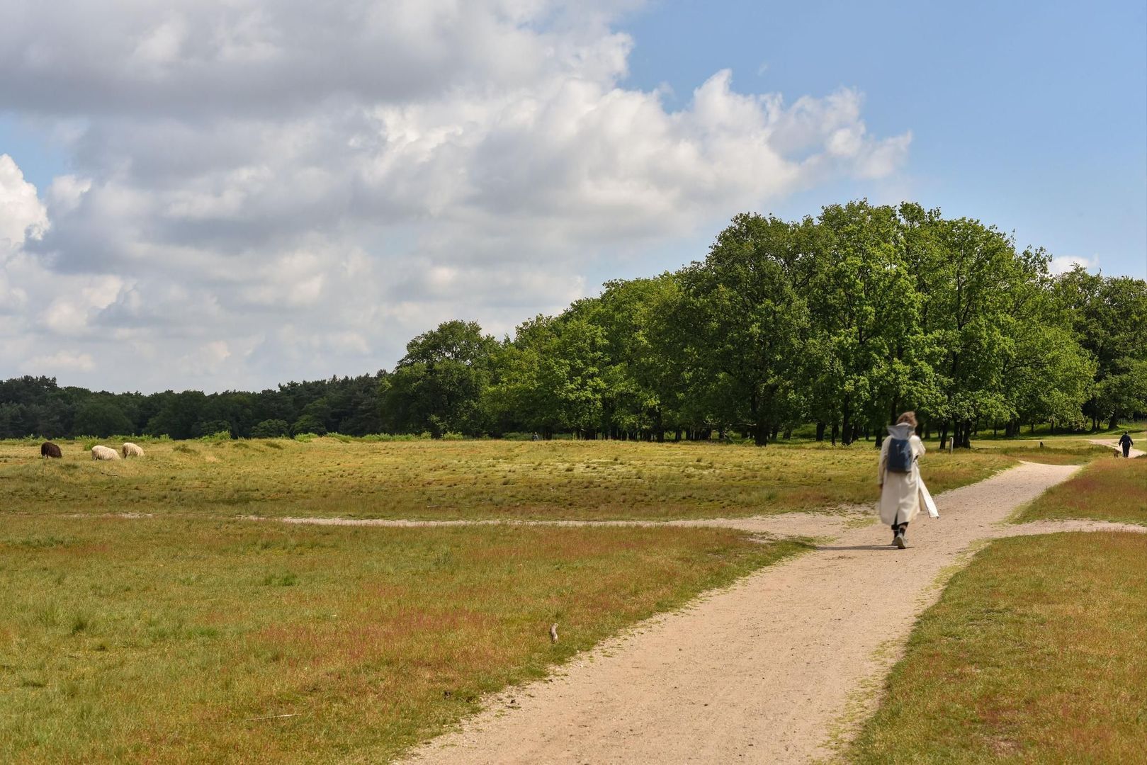 Scheimel 0 ong, Blaricum foto-26