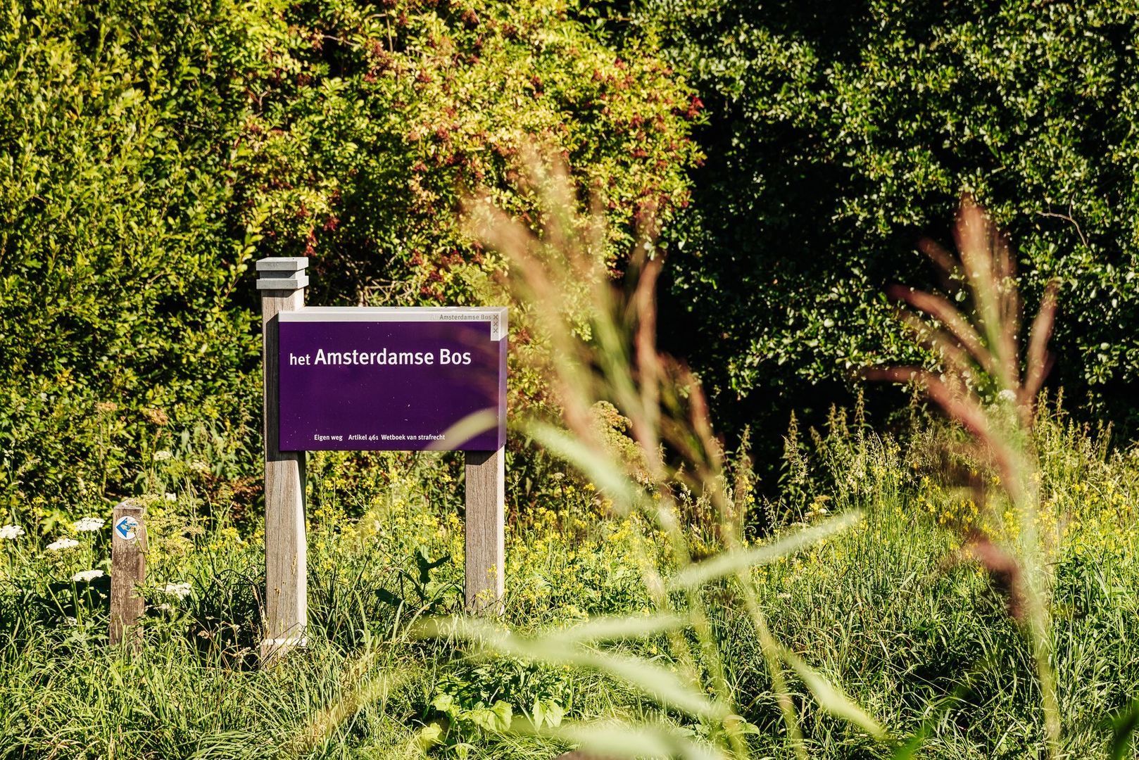 Weerdestein 39, Amsterdam foto-31