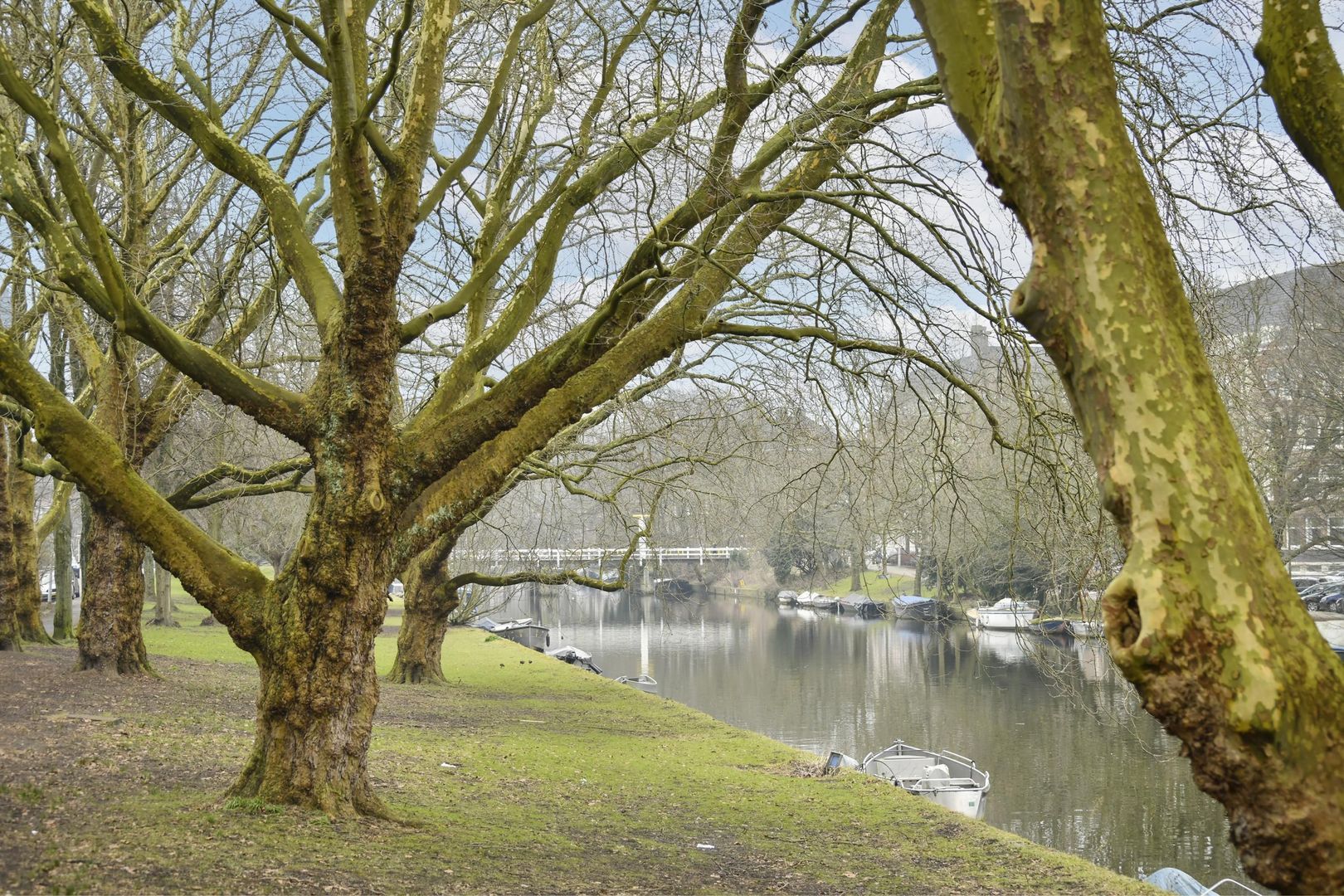 Willem Kesstraat 7 3, Amsterdam foto-20