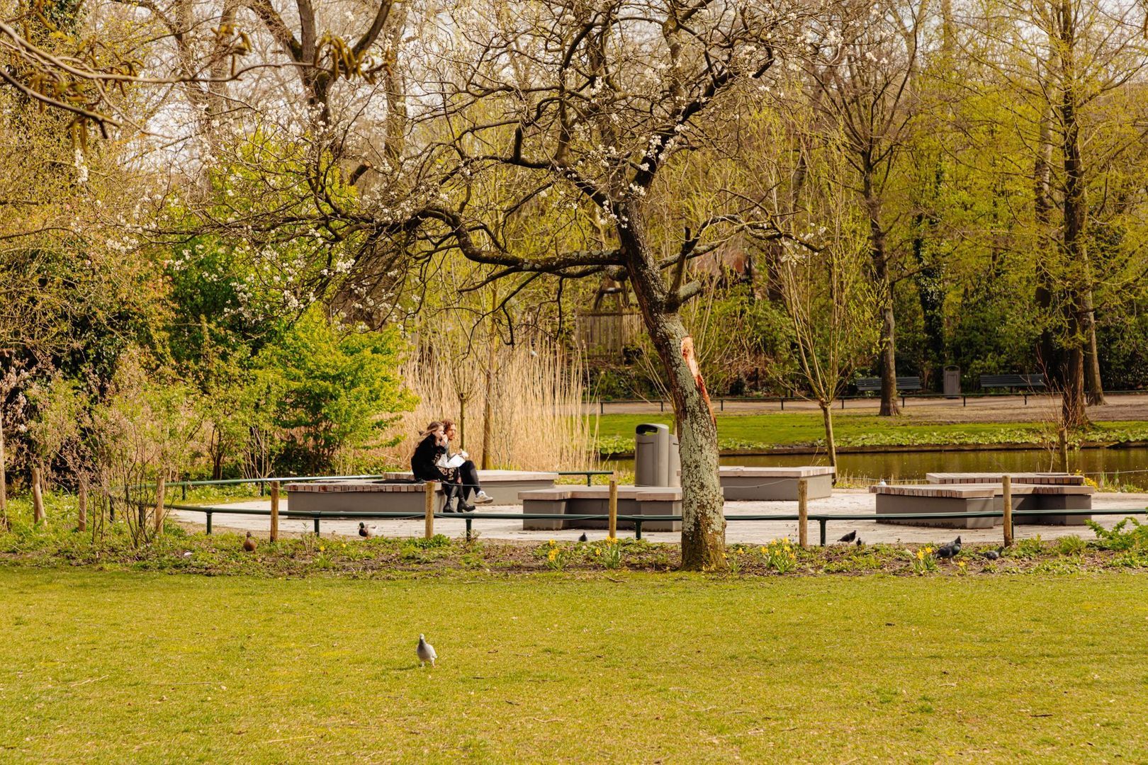 Sint Willibrordusstraat 14, Amsterdam foto-34