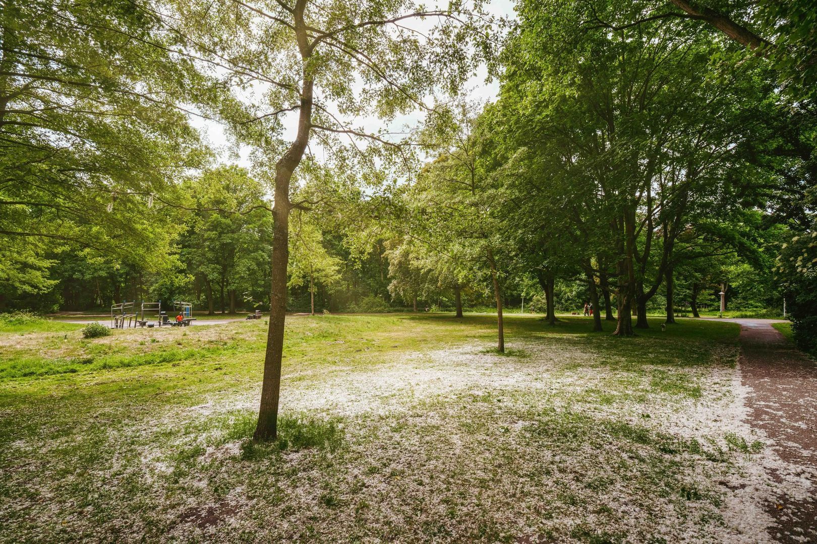 Van Walbeeckstraat 79 2, Amsterdam foto-23