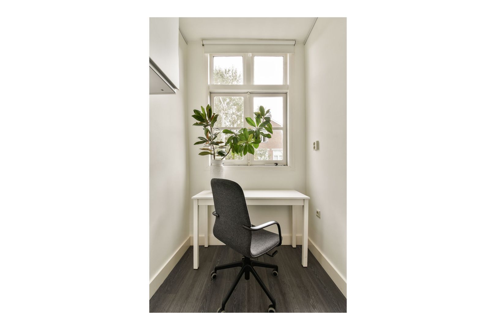 Egelantiersgracht 31 3, Amsterdam foto-10