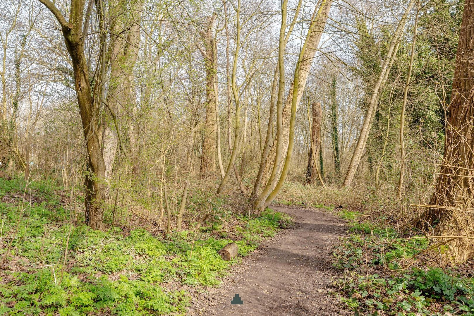 Bataviastraat 81 D, Amsterdam foto-31