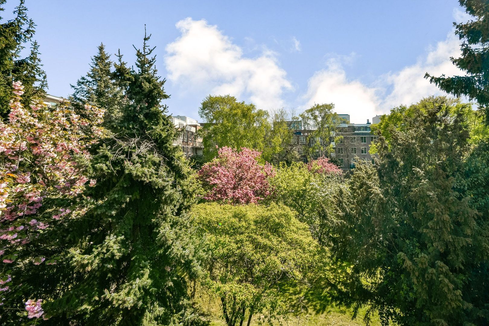 Tidorestraat 110, Amsterdam foto-16