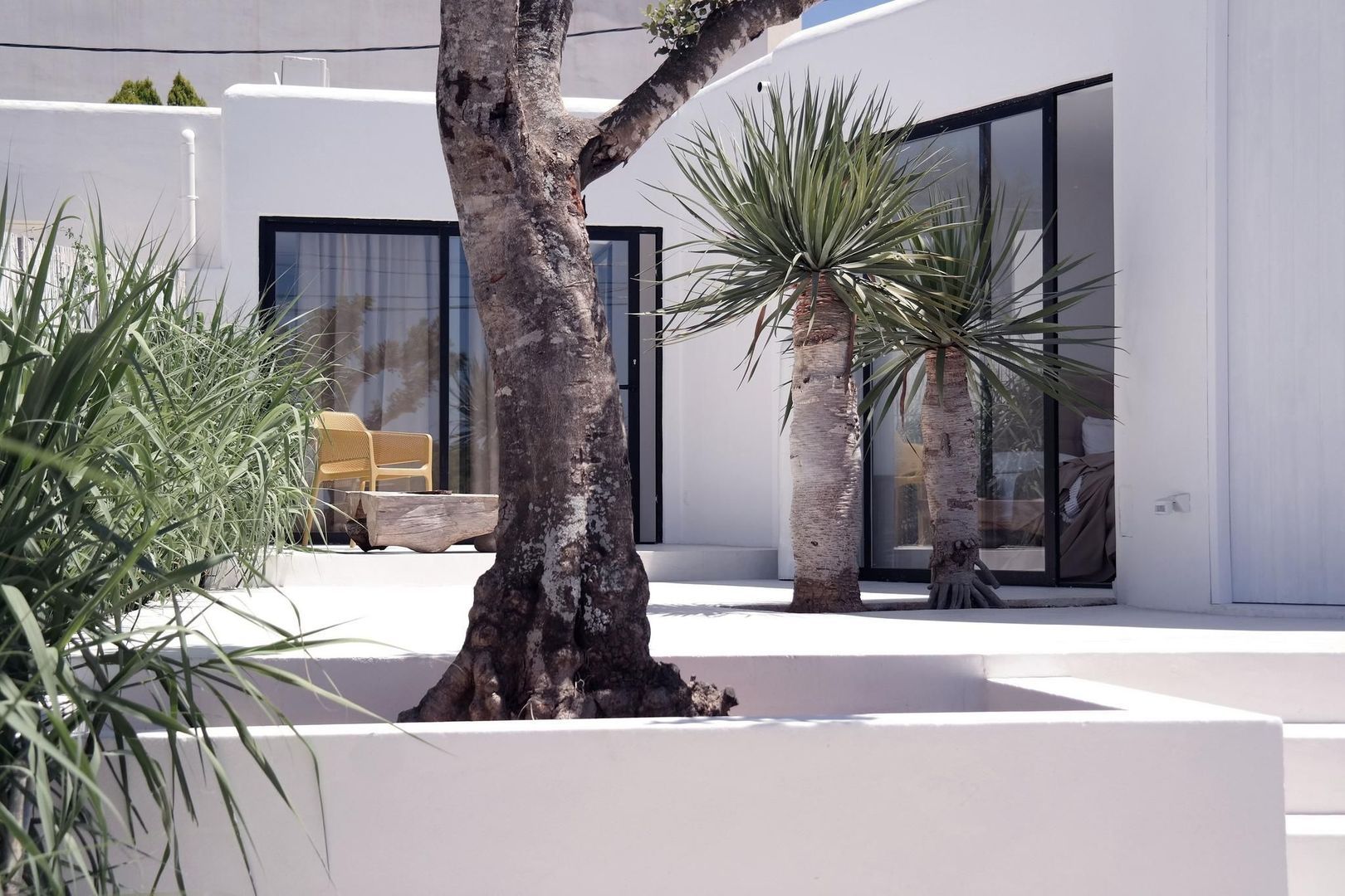 Cala Comte, Ibiza foto-8
