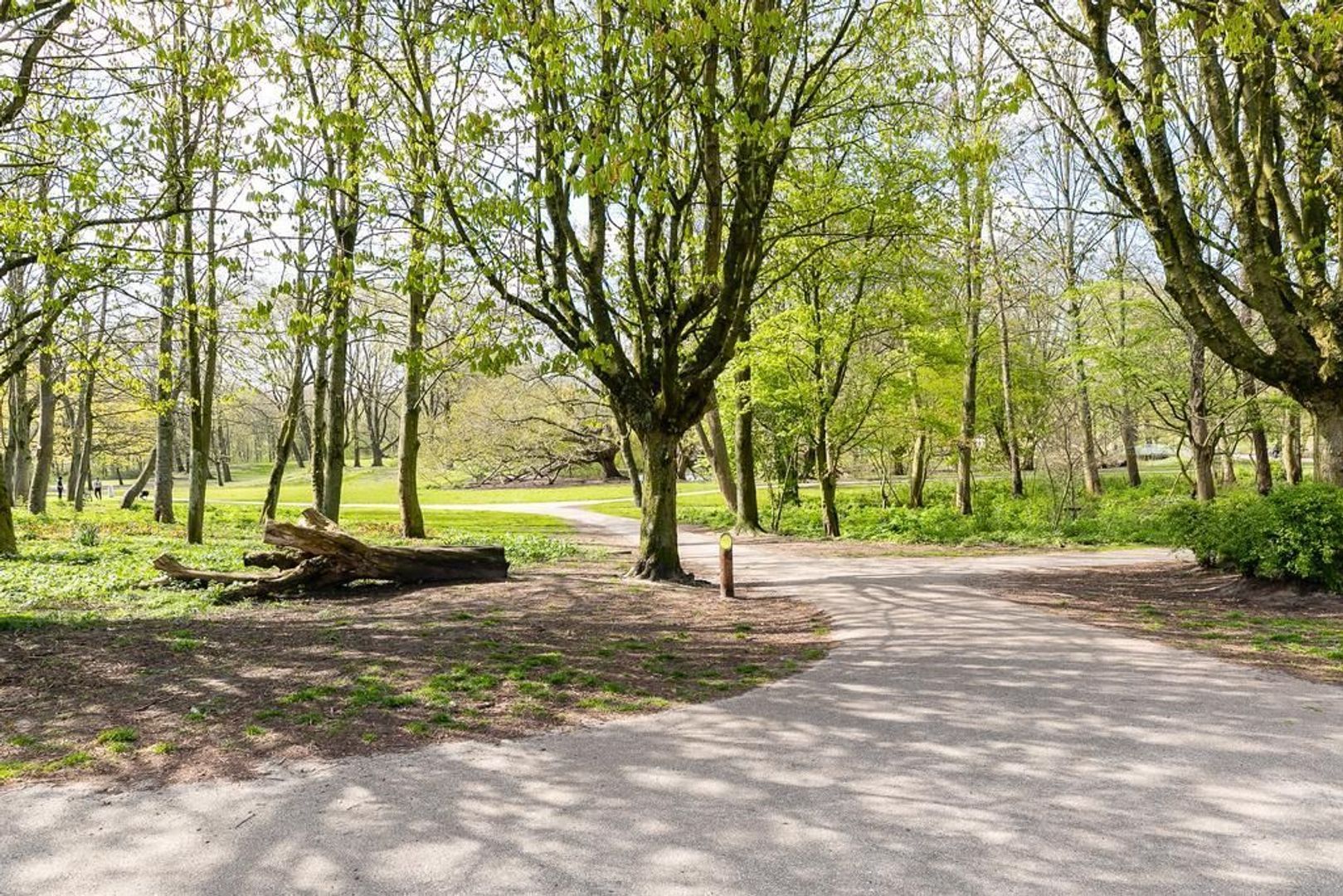 Curacaostraat 88 II, Amsterdam foto-24