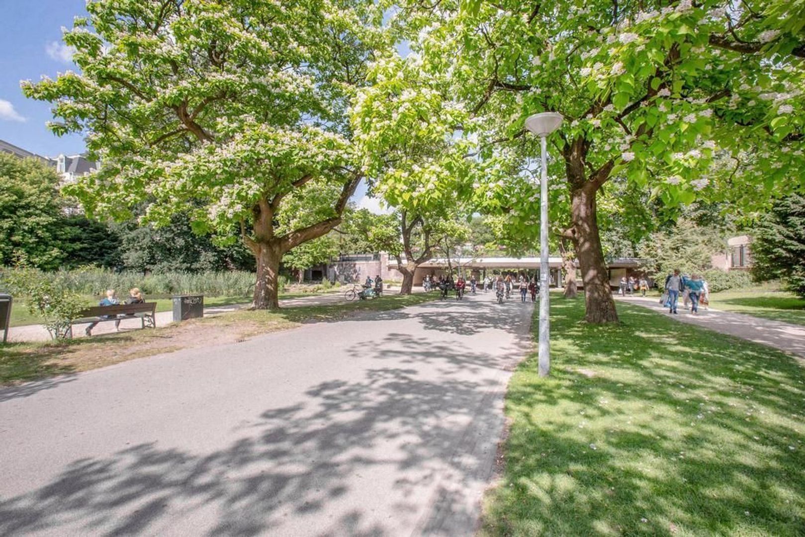 Derde Helmersstraat 8 2, Amsterdam foto-50