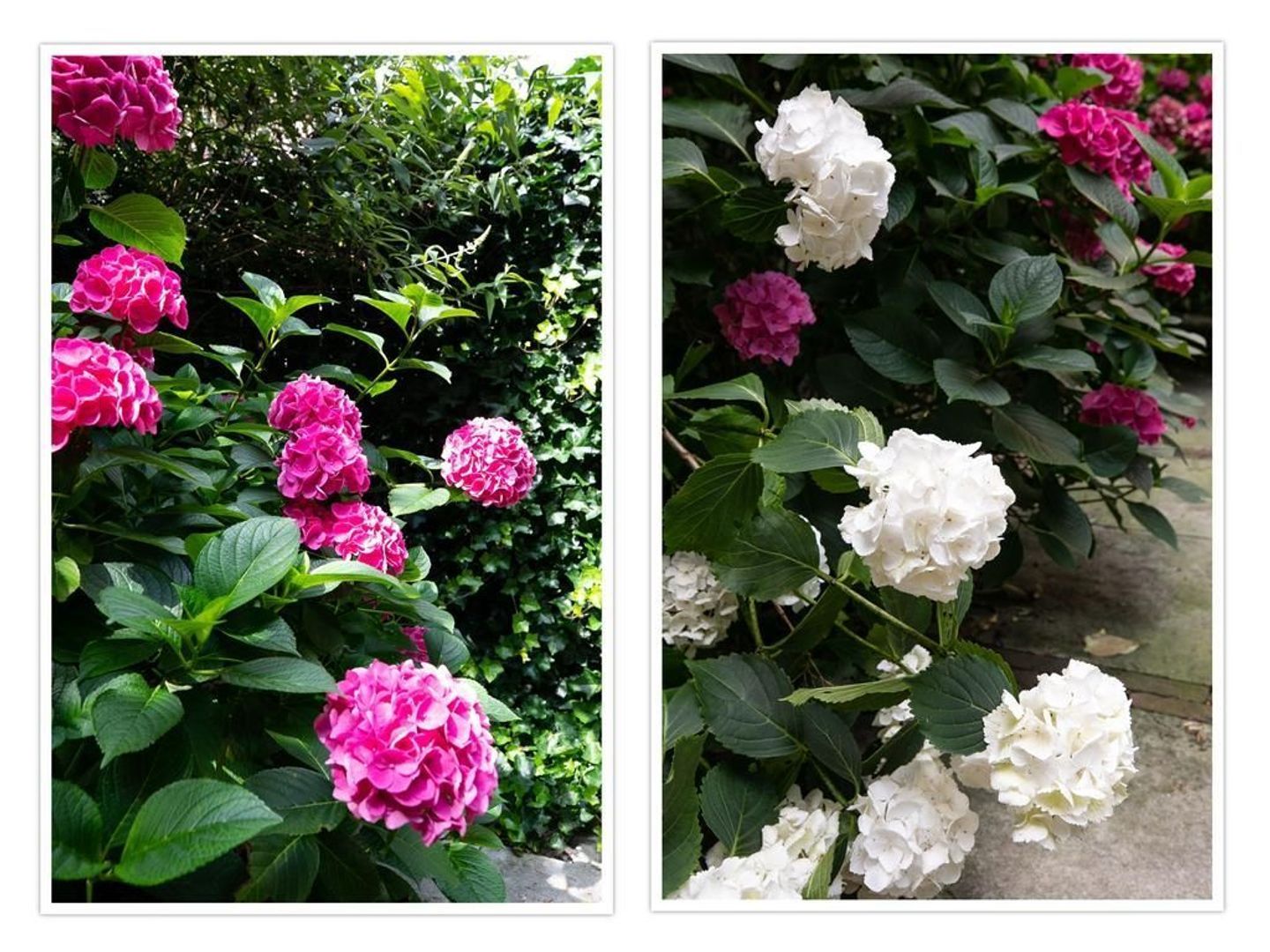 Titiaanstraat 46 HS, Amsterdam foto-17