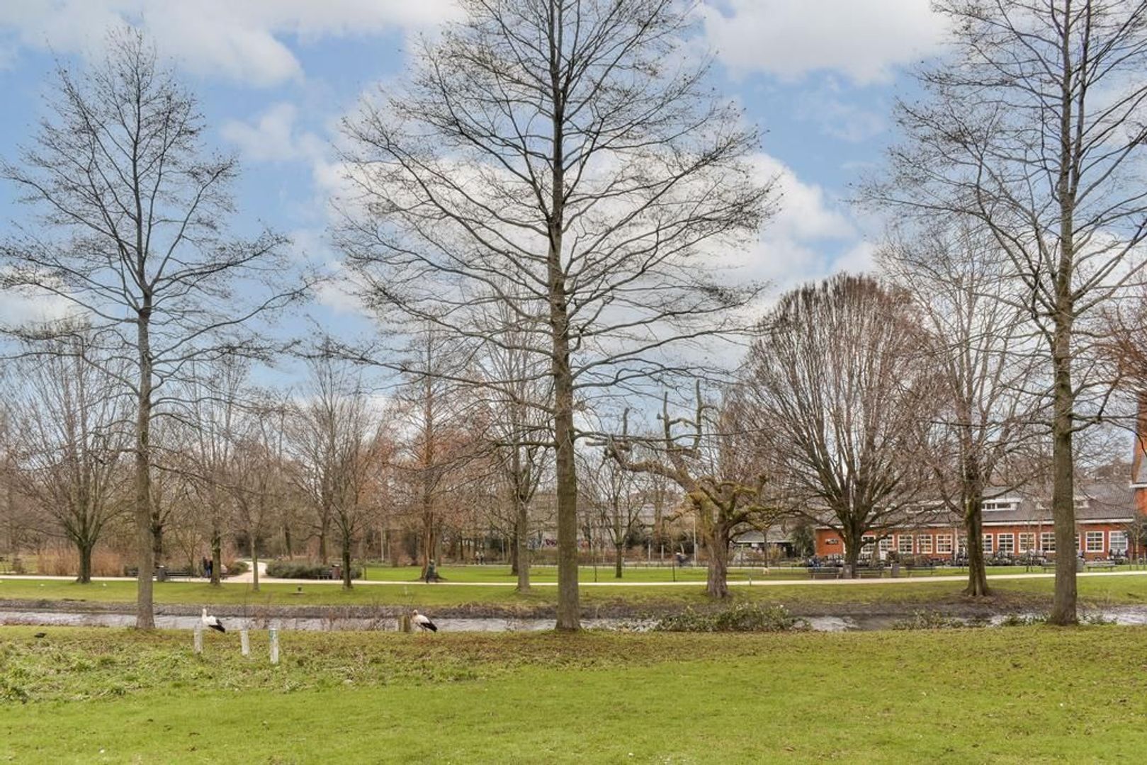 De Wittenkade 18 A, Amsterdam foto-23