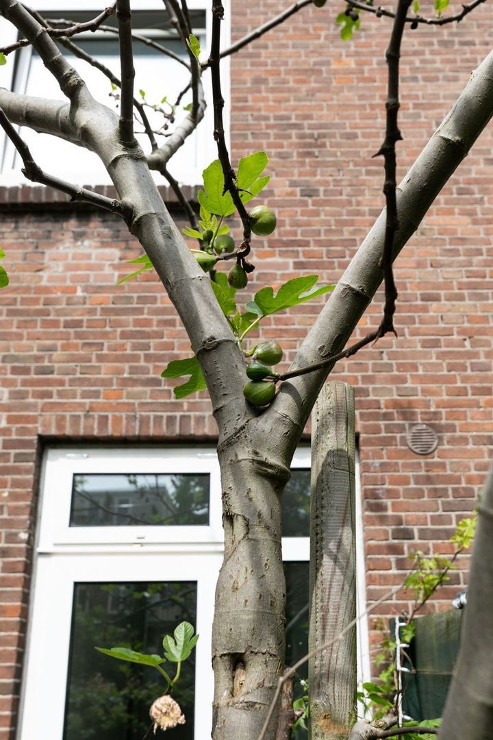 Nickeriestraat 37, Amsterdam foto-27