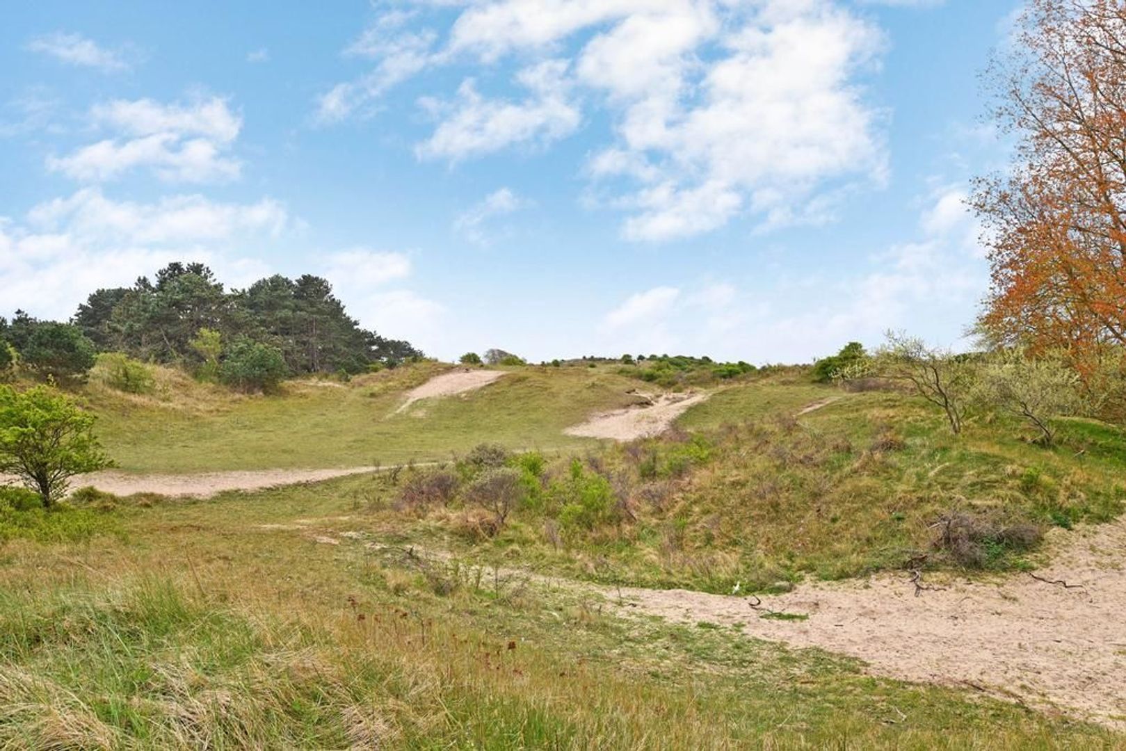 Zandvoortselaan 13, Zandvoort foto-42