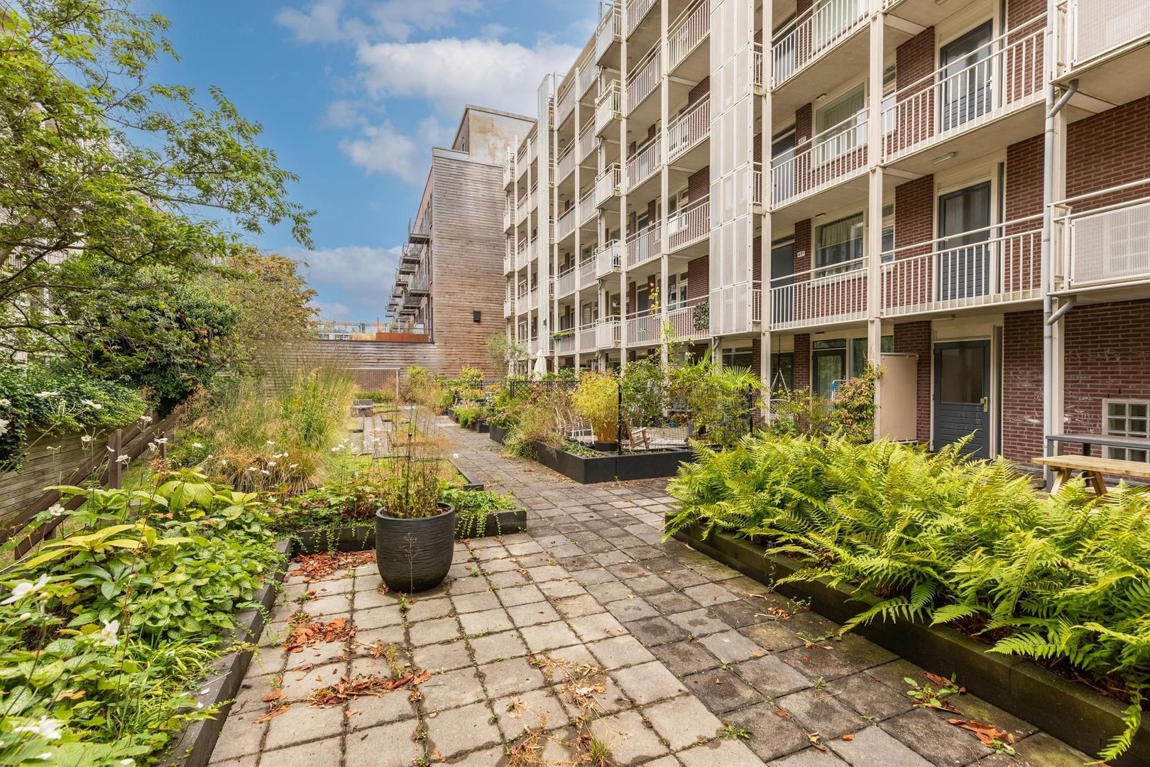 Karel du Jardinstraat 51 D, Amsterdam foto-24