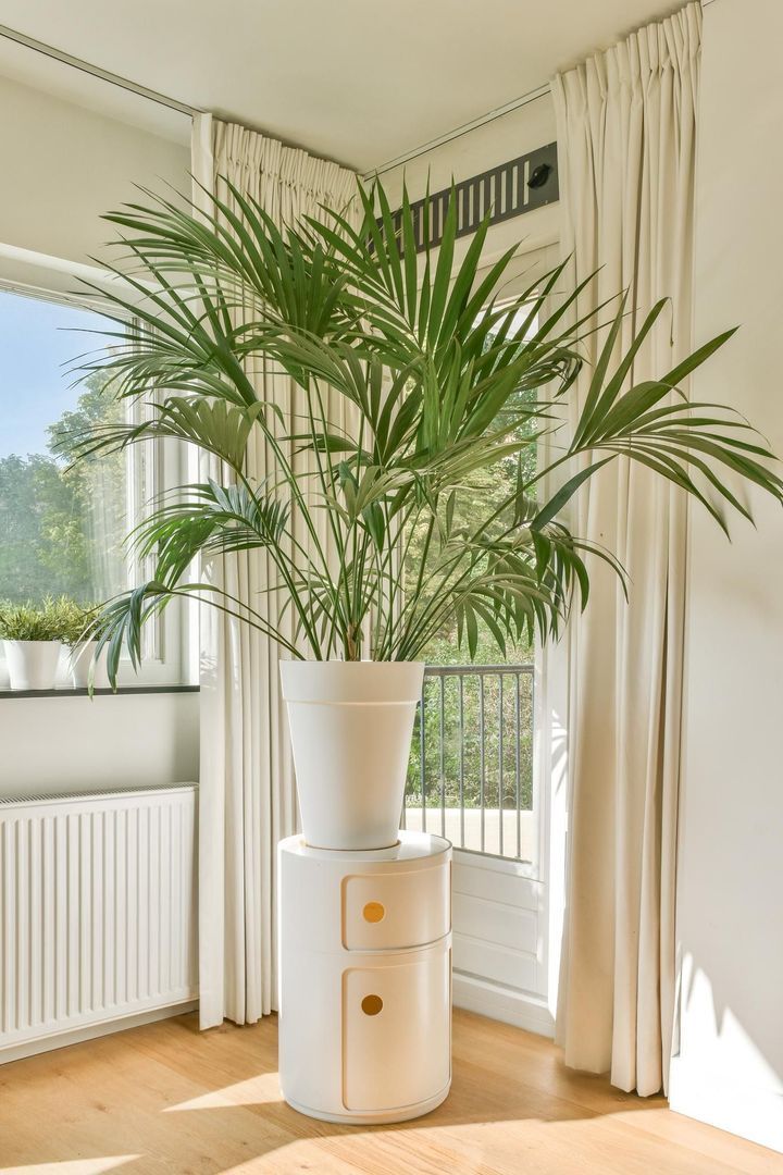 Lizzy Ansinghstraat 60, Amsterdam foto-13