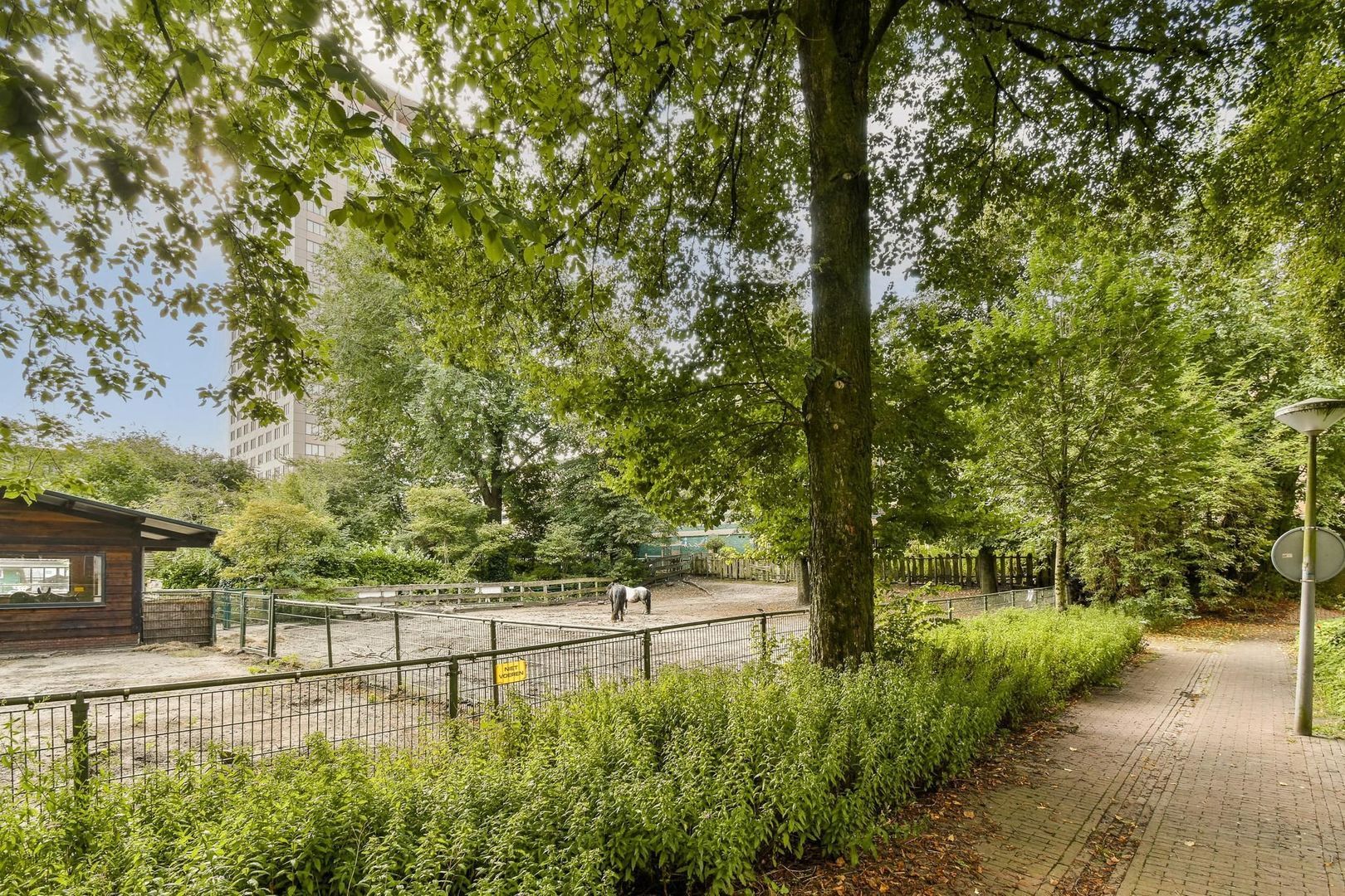 Lizzy Ansinghstraat 60, Amsterdam foto-21