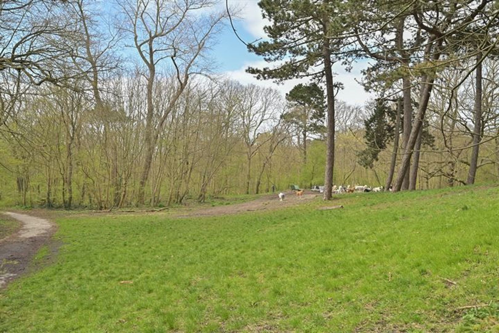 Adrien Moonenweg 28, Den Haag foto-41