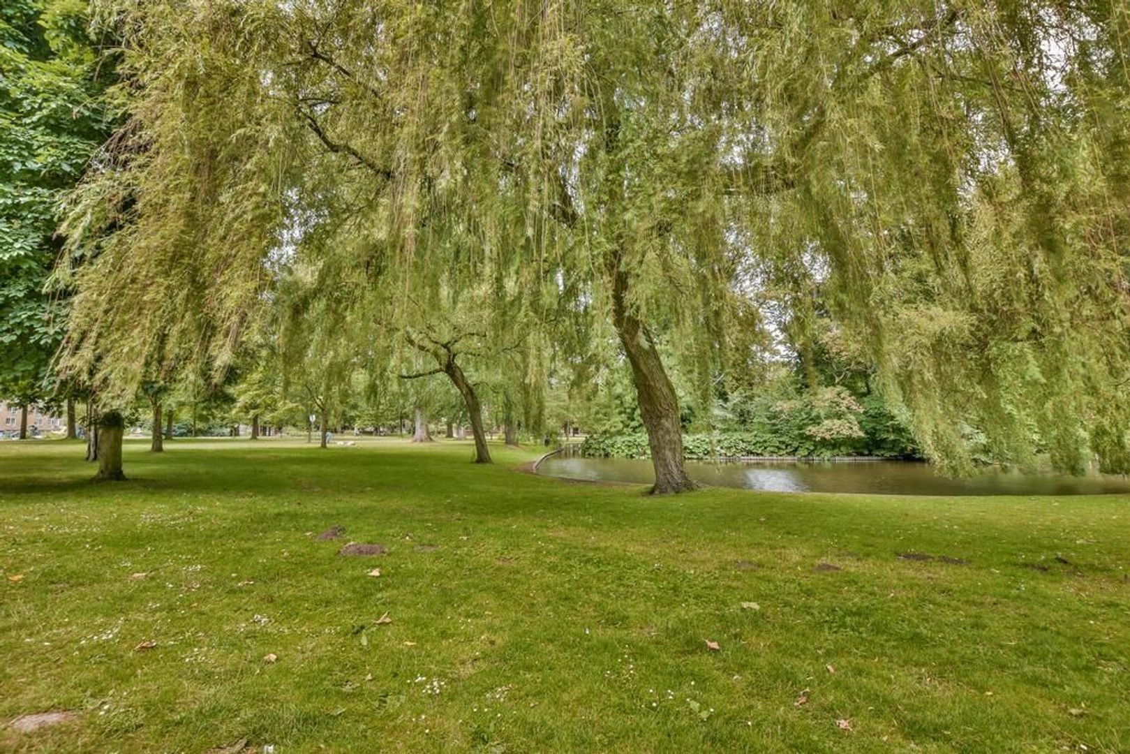 De Wittenkade 18 D, Amsterdam foto-34