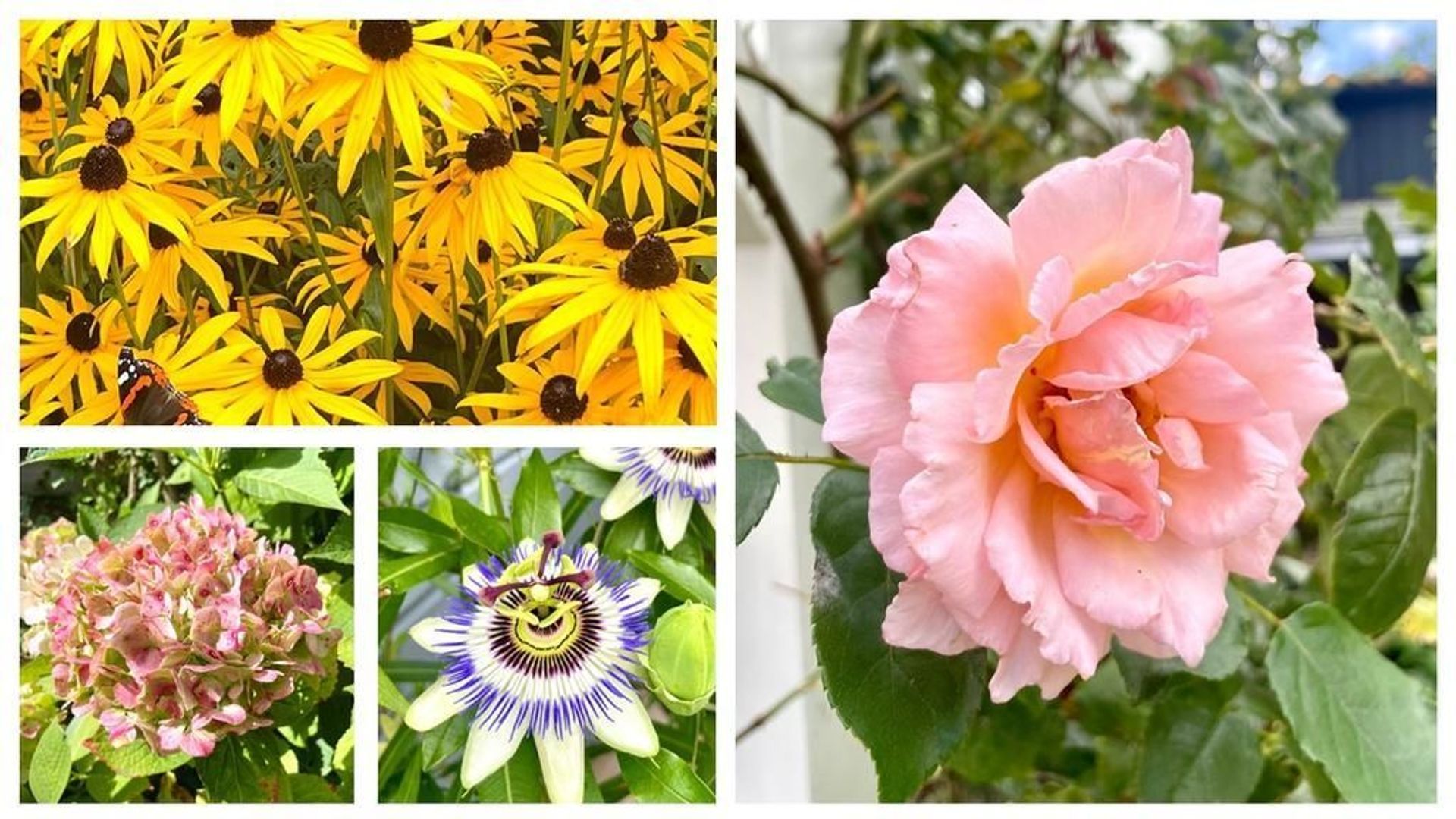 Landsmeerderdijk 62, Amsterdam foto-38