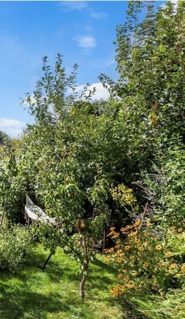 Landsmeerderdijk 62, Amsterdam foto-39