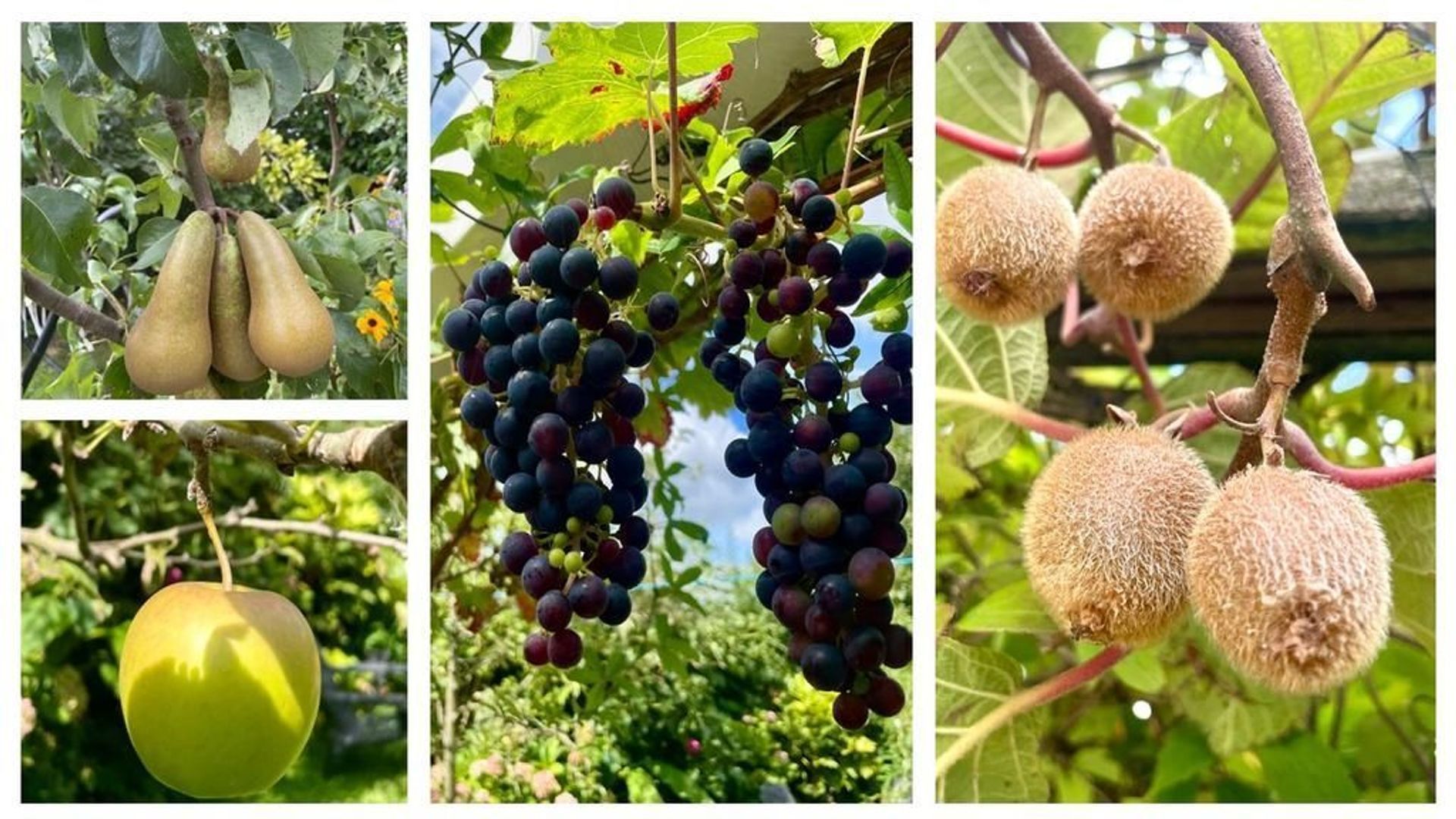 Landsmeerderdijk 62, Amsterdam foto-40