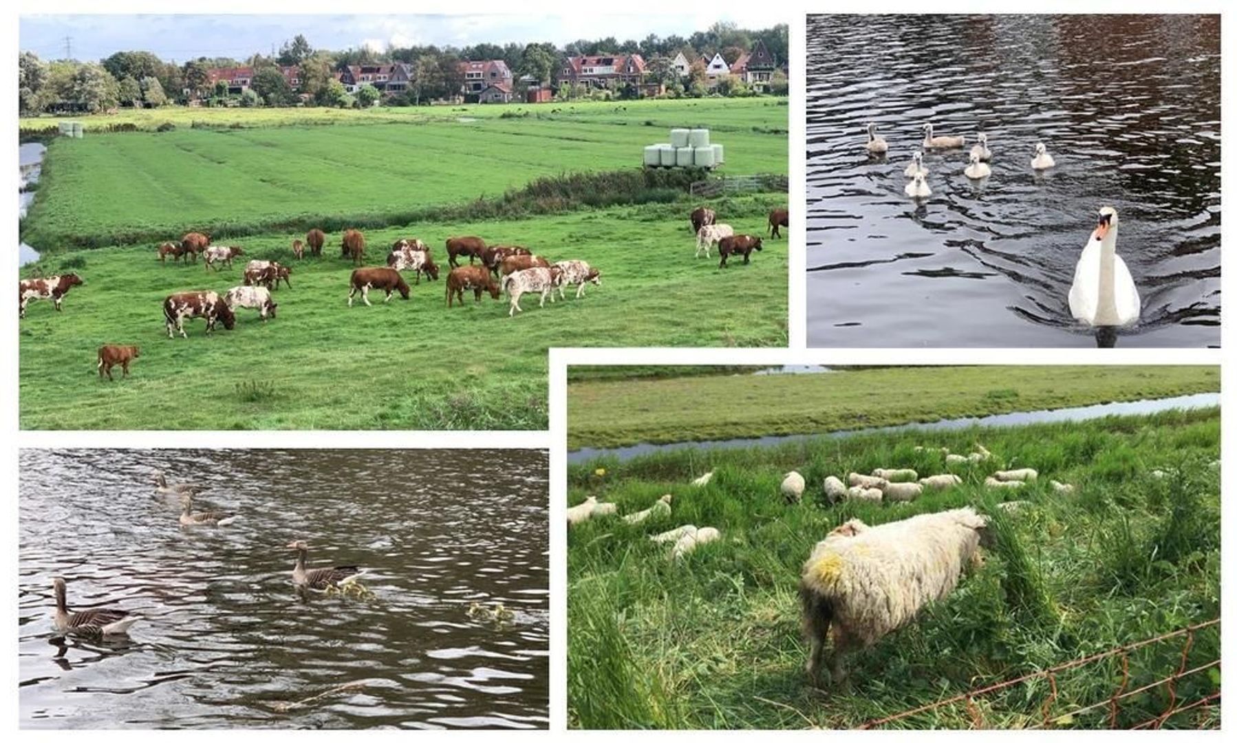 Landsmeerderdijk 62, Amsterdam foto-42