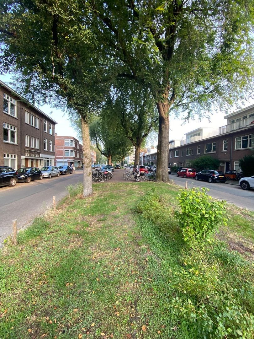 Ieplaan 103, Den Haag foto-26