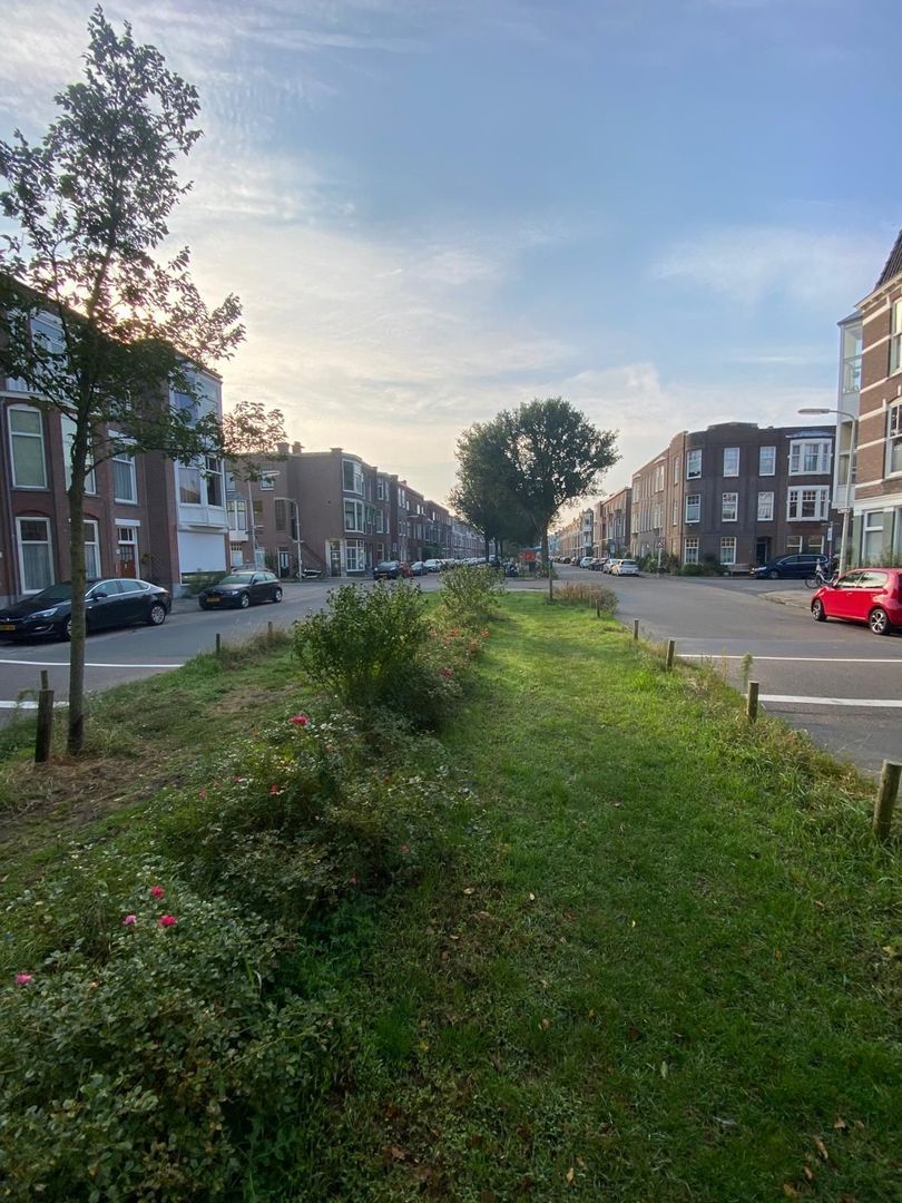 Ieplaan 103, Den Haag foto-27