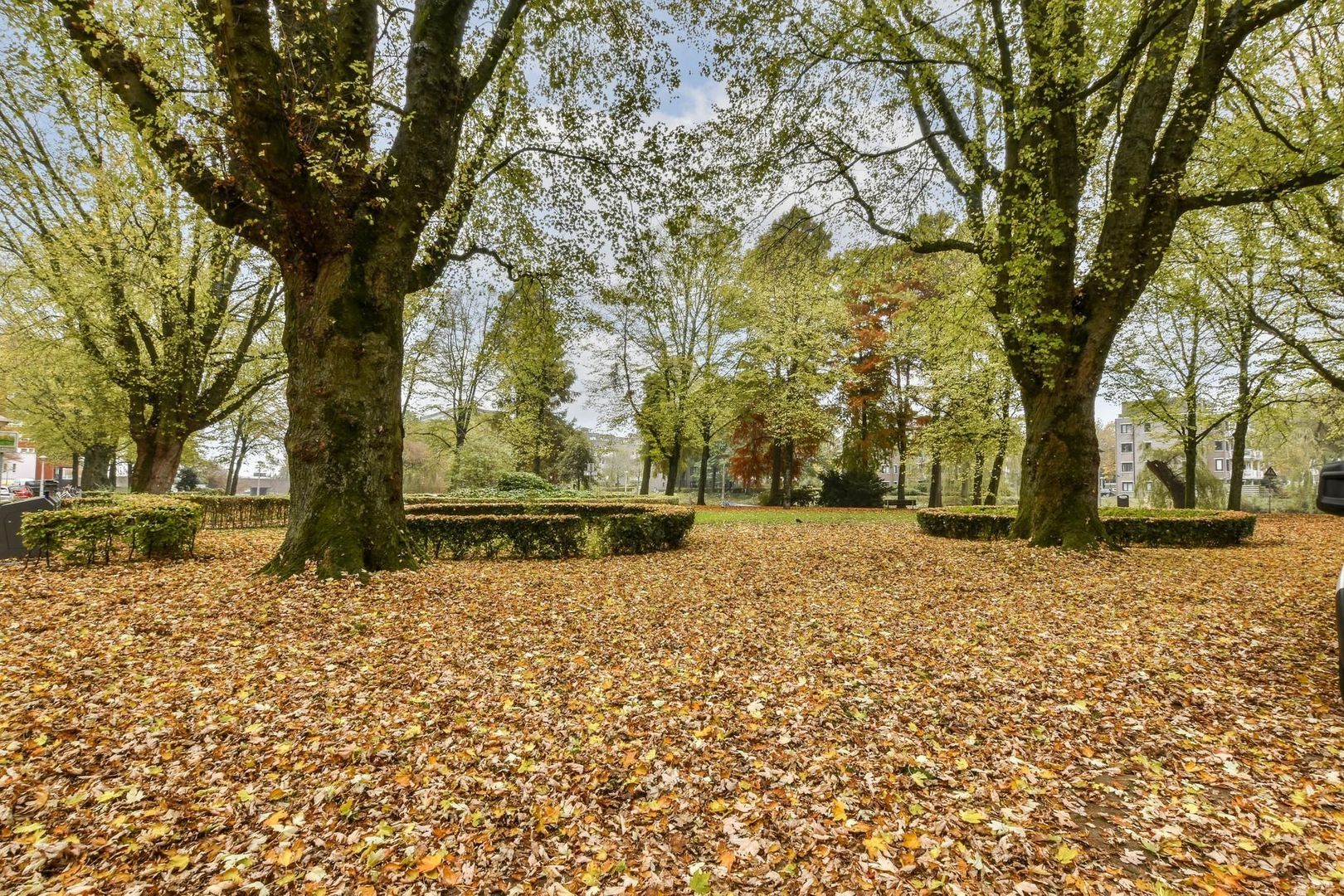 Geuzenstraat 79 3, Amsterdam foto-22