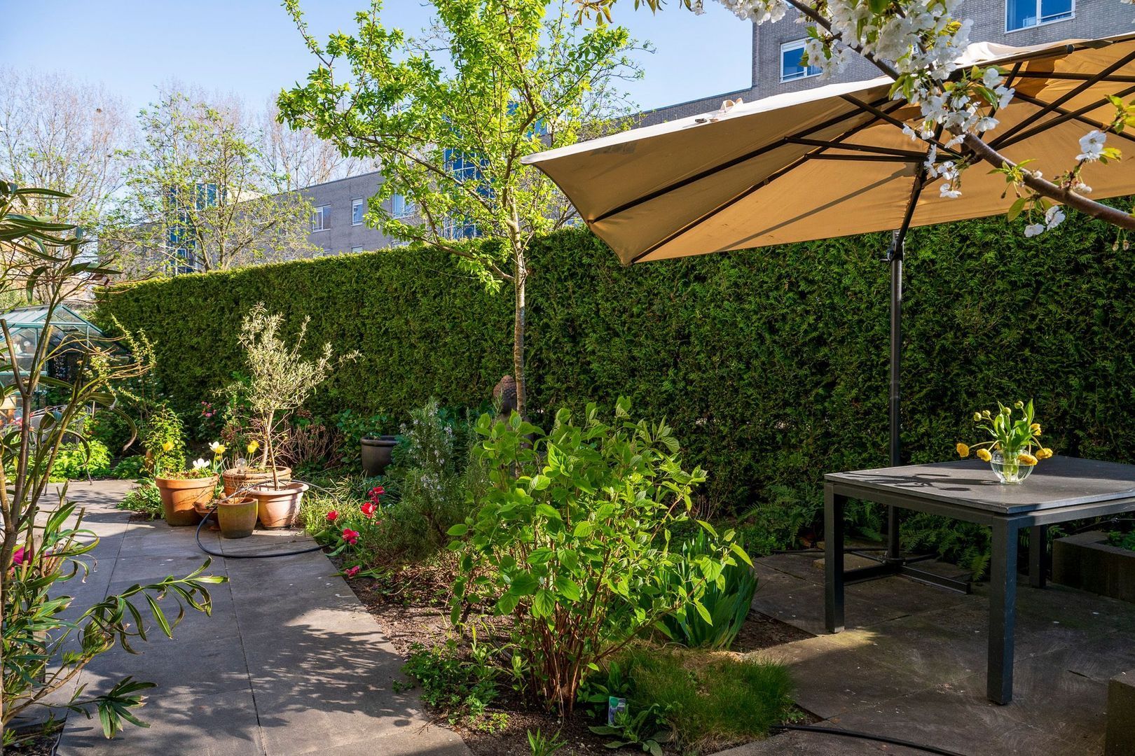 Matenesse-hof 24, Amsterdam foto-29