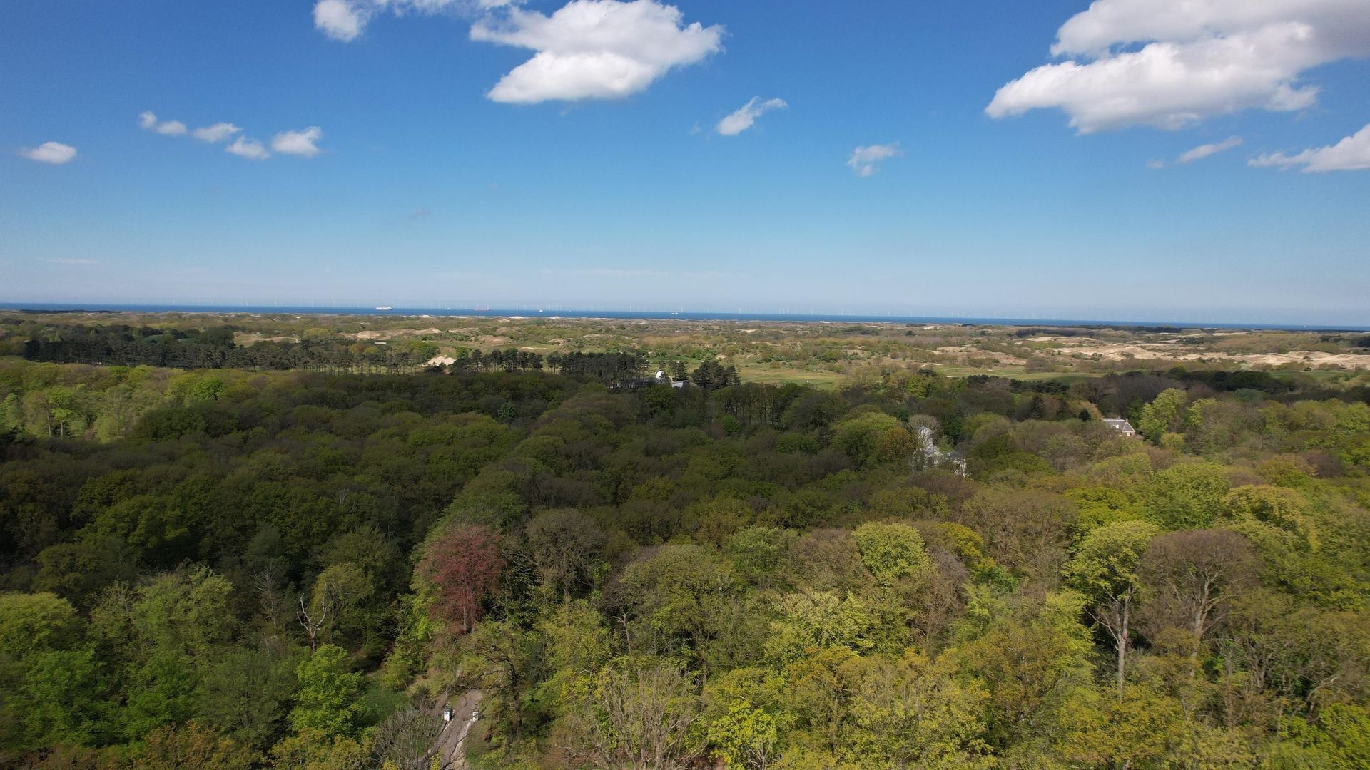 Koekoekslaan 6, Wassenaar foto-31