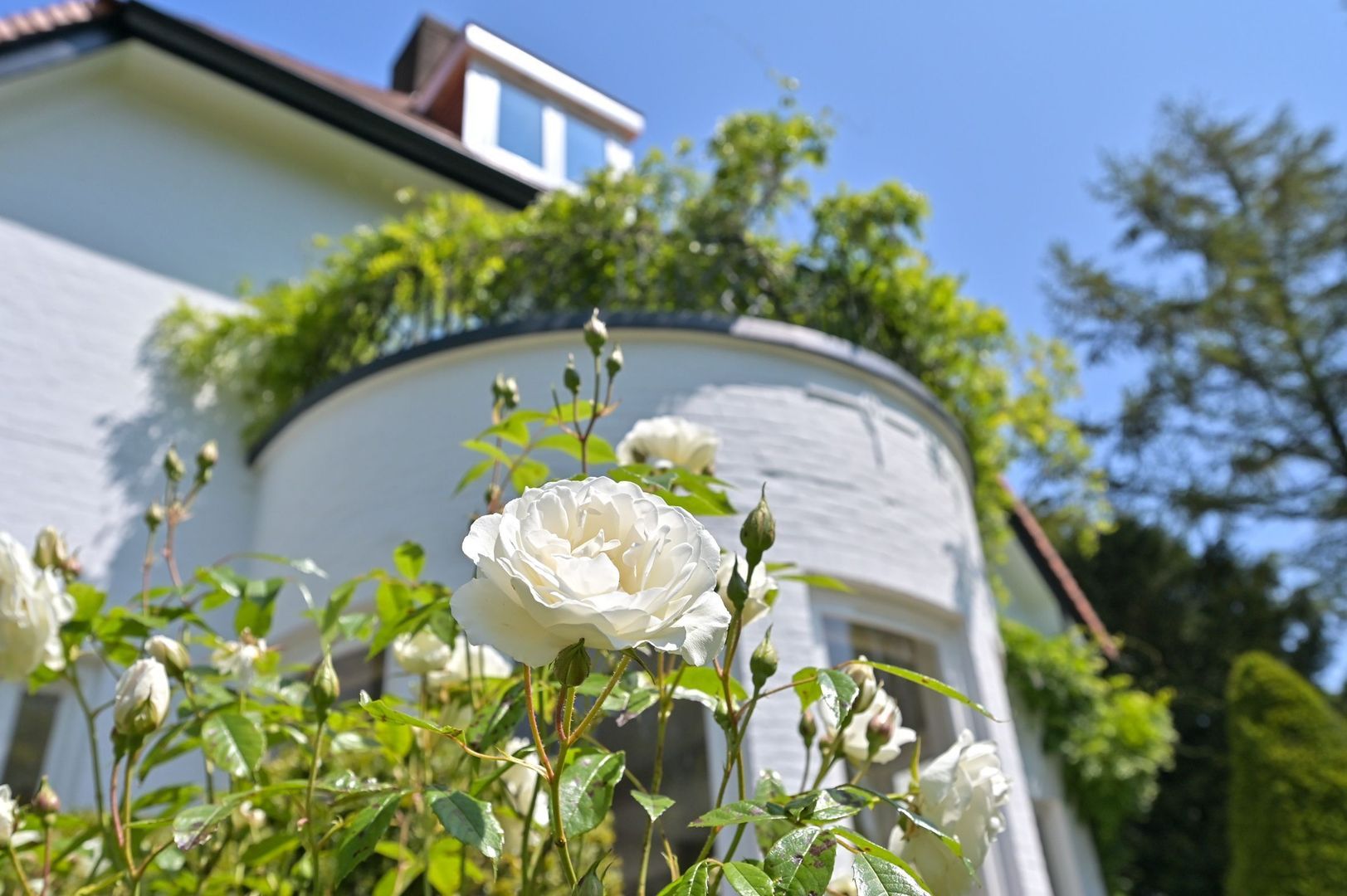 Koninginneweg 4, Wassenaar foto-33