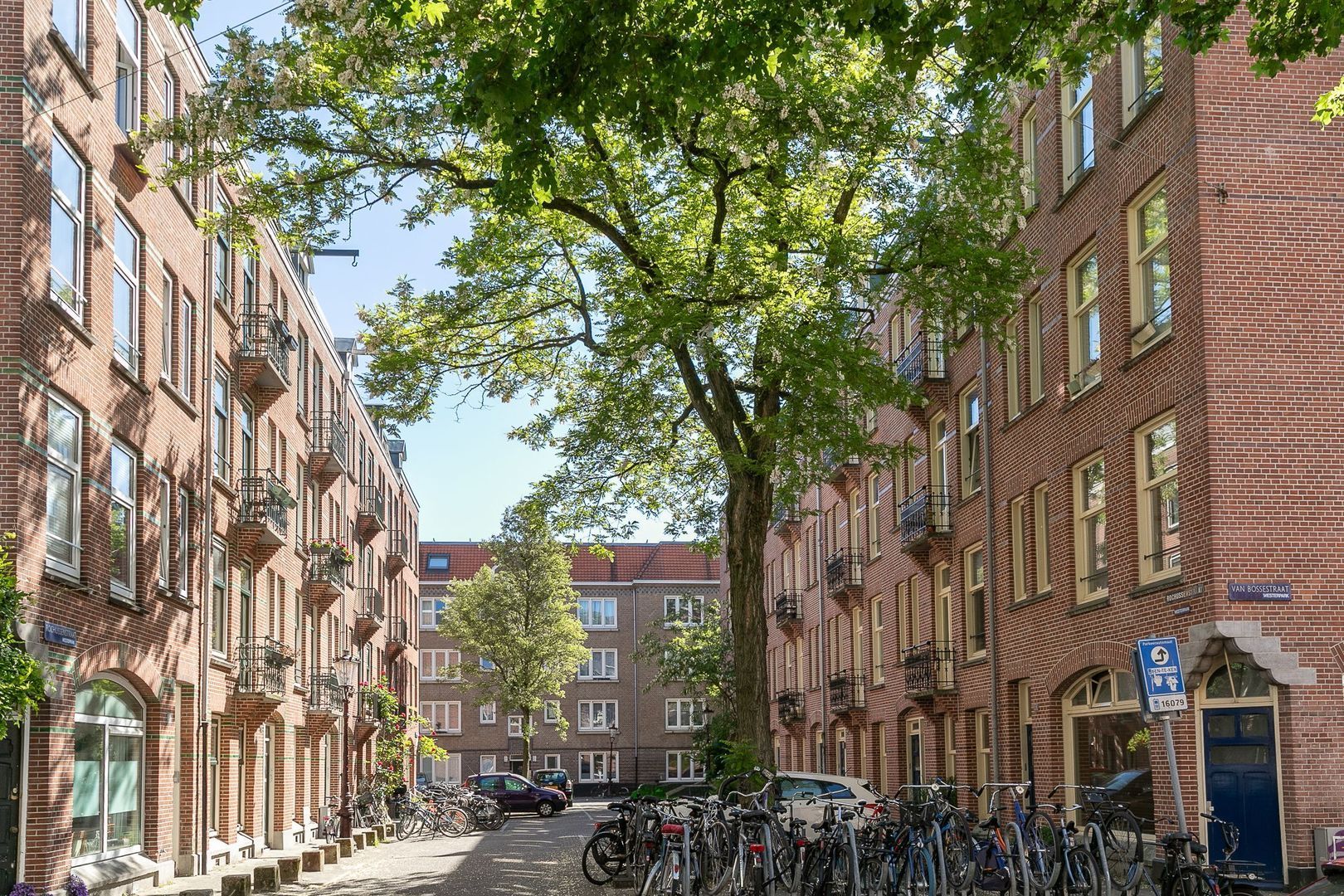 Rochussenstraat 11 3, Amsterdam foto-1