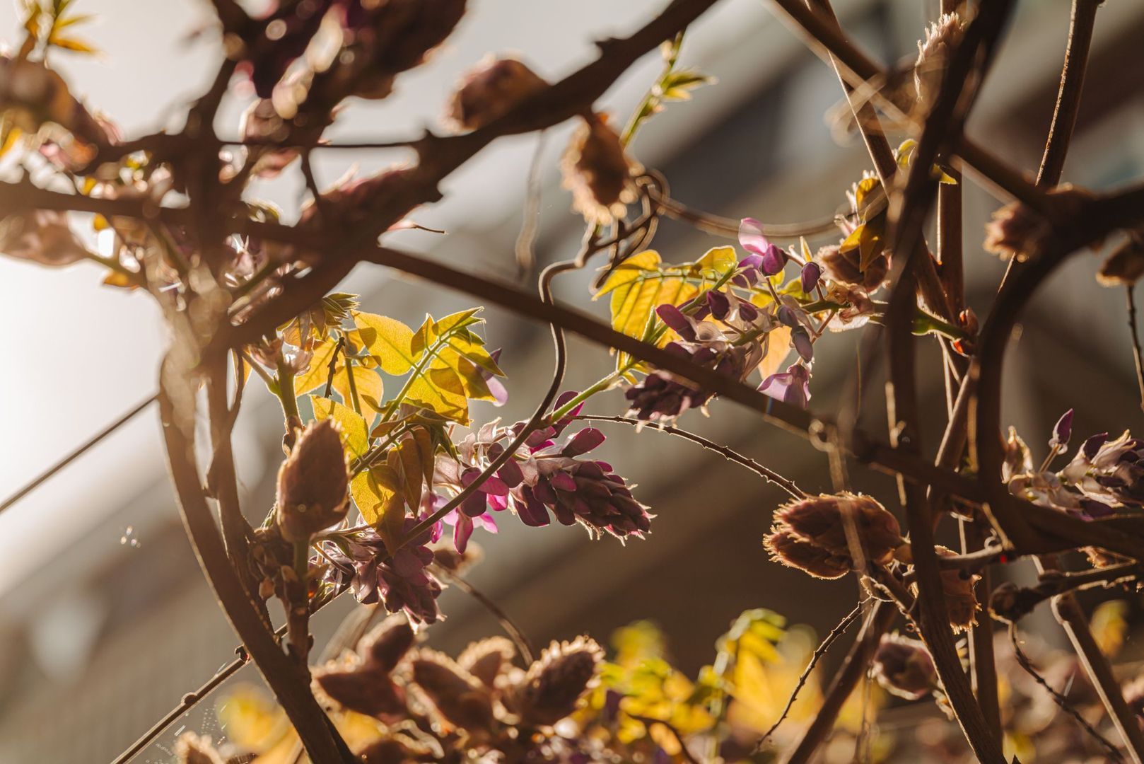 Daniel Stalpertstraat 37, Amsterdam foto-7