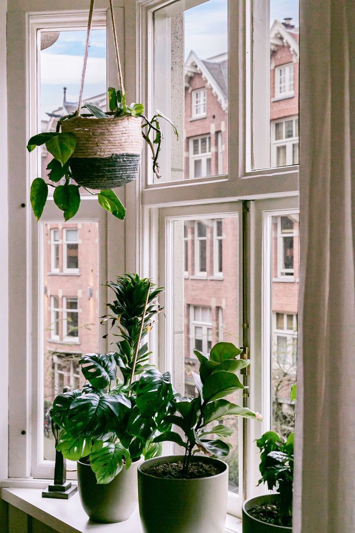 Pieter de Hoochstraat 3 2, Amsterdam foto-43