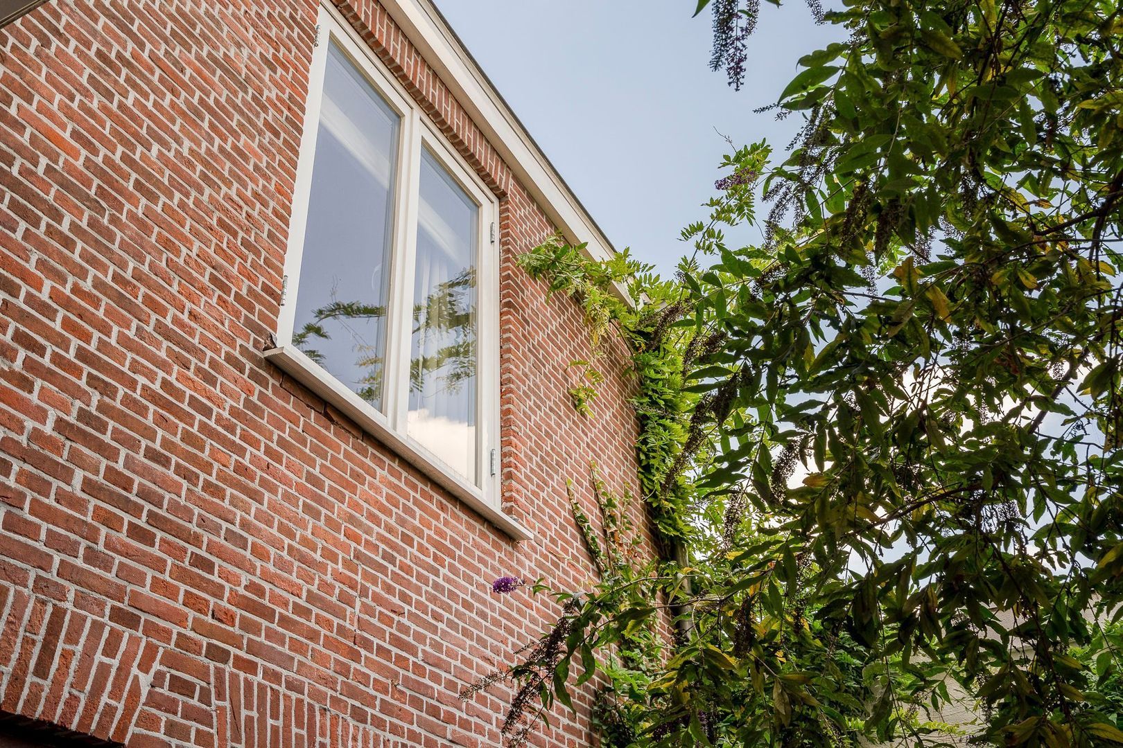 Willemstraat 13, Den Haag foto-31