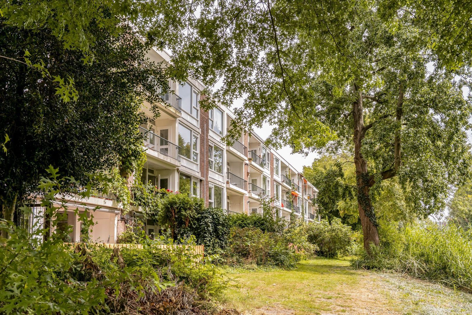 Wedderborg 149, Amsterdam foto-0