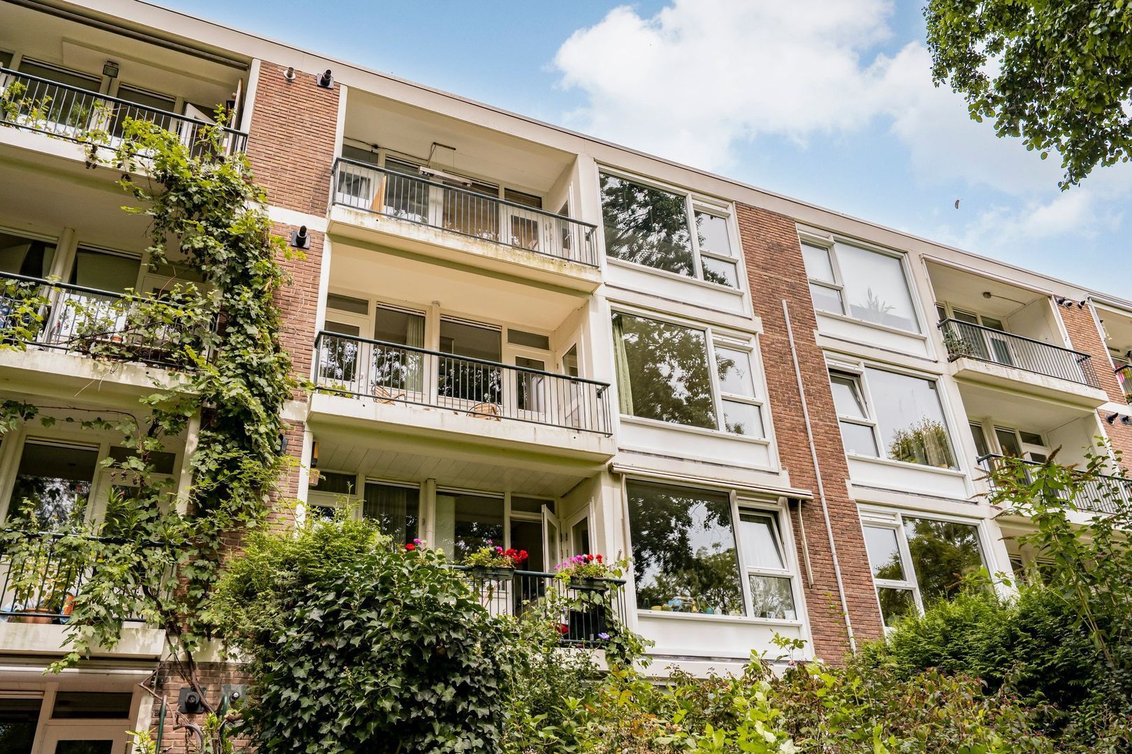 Wedderborg 149, Amsterdam foto-1