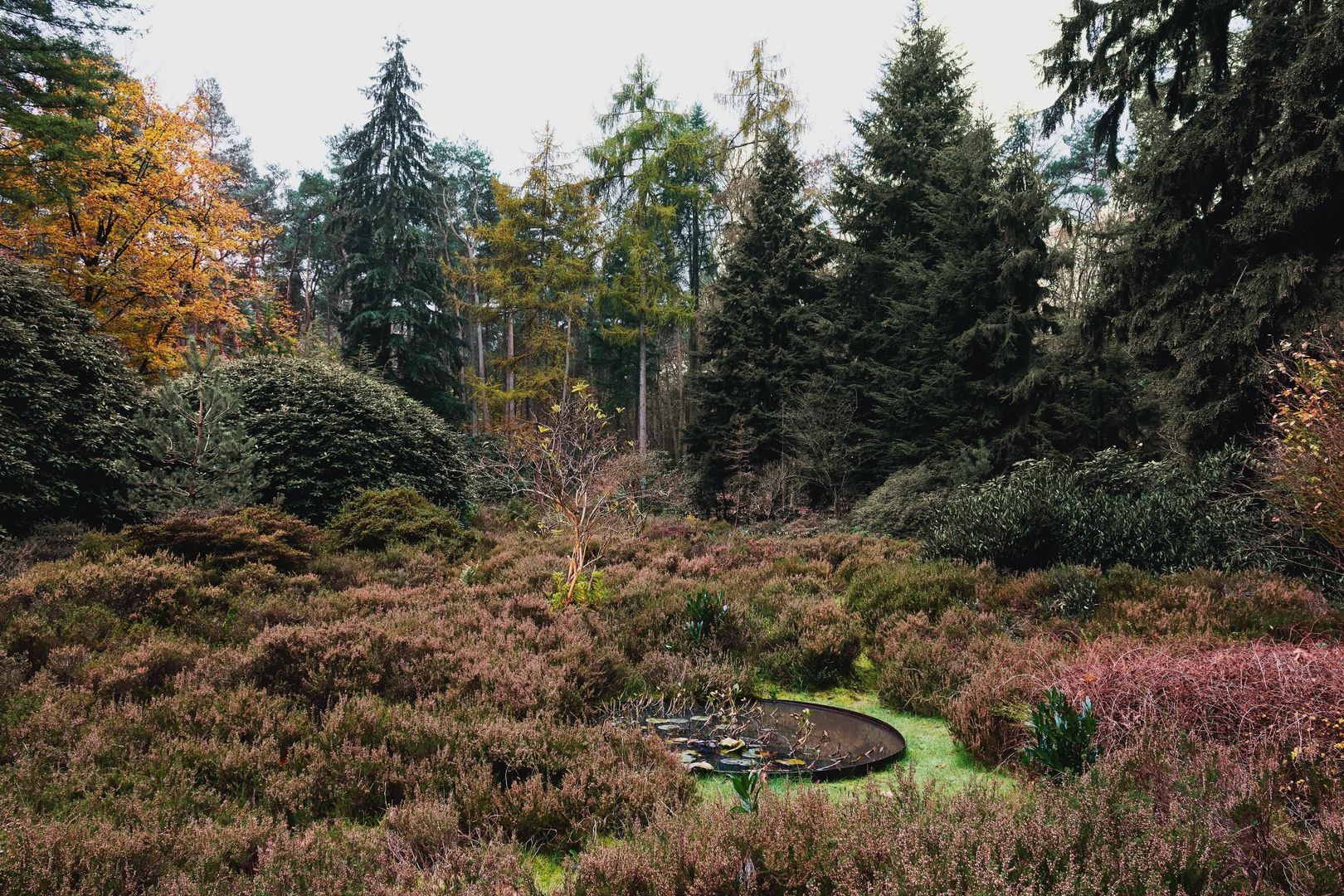 Heuvellaan 1, Wapenveld foto-8