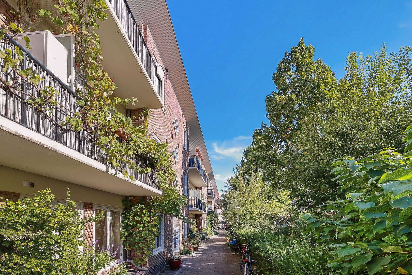 Finsenstraat 7 2, Amsterdam foto-27