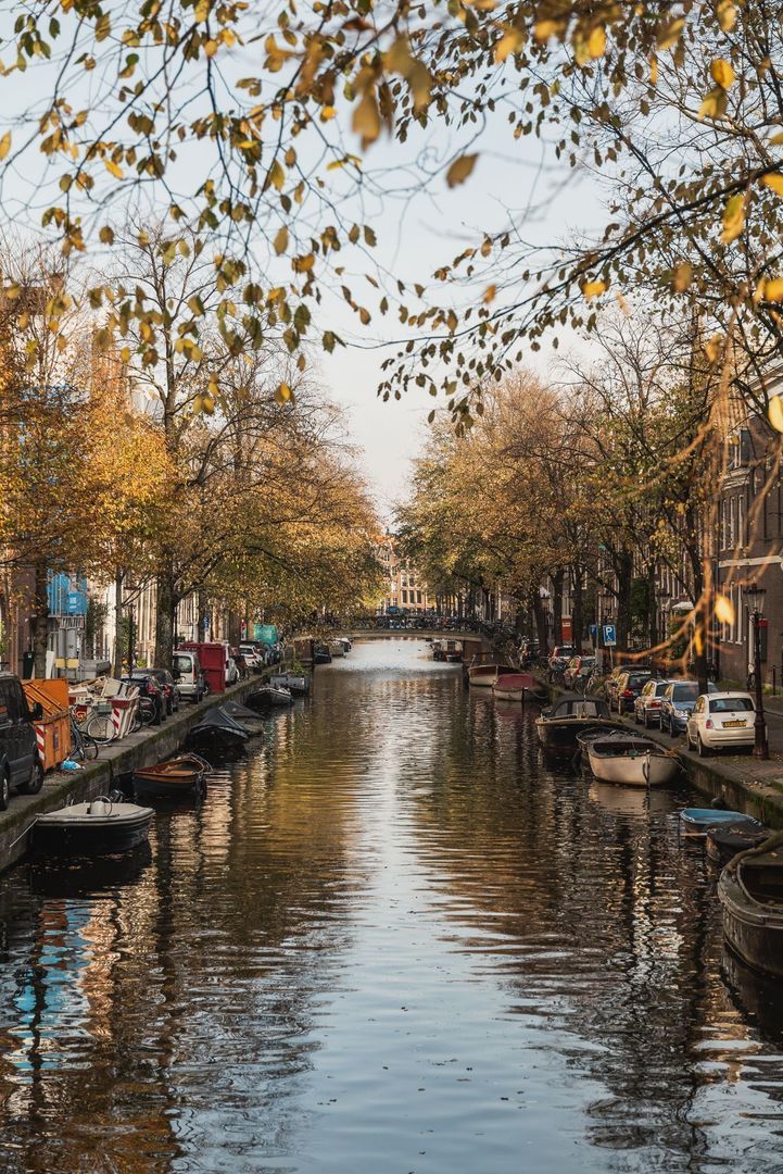 Laurierstraat 246 G, Amsterdam foto-43