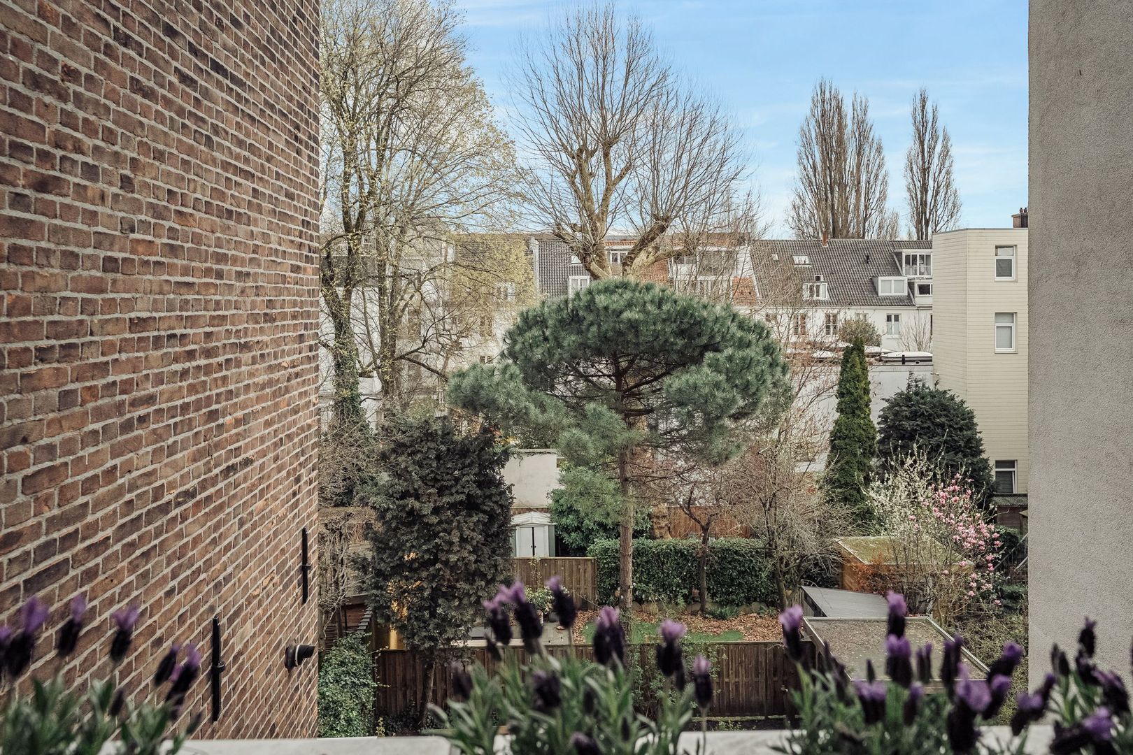 Plantage Kerklaan 20 2, Amsterdam foto-19