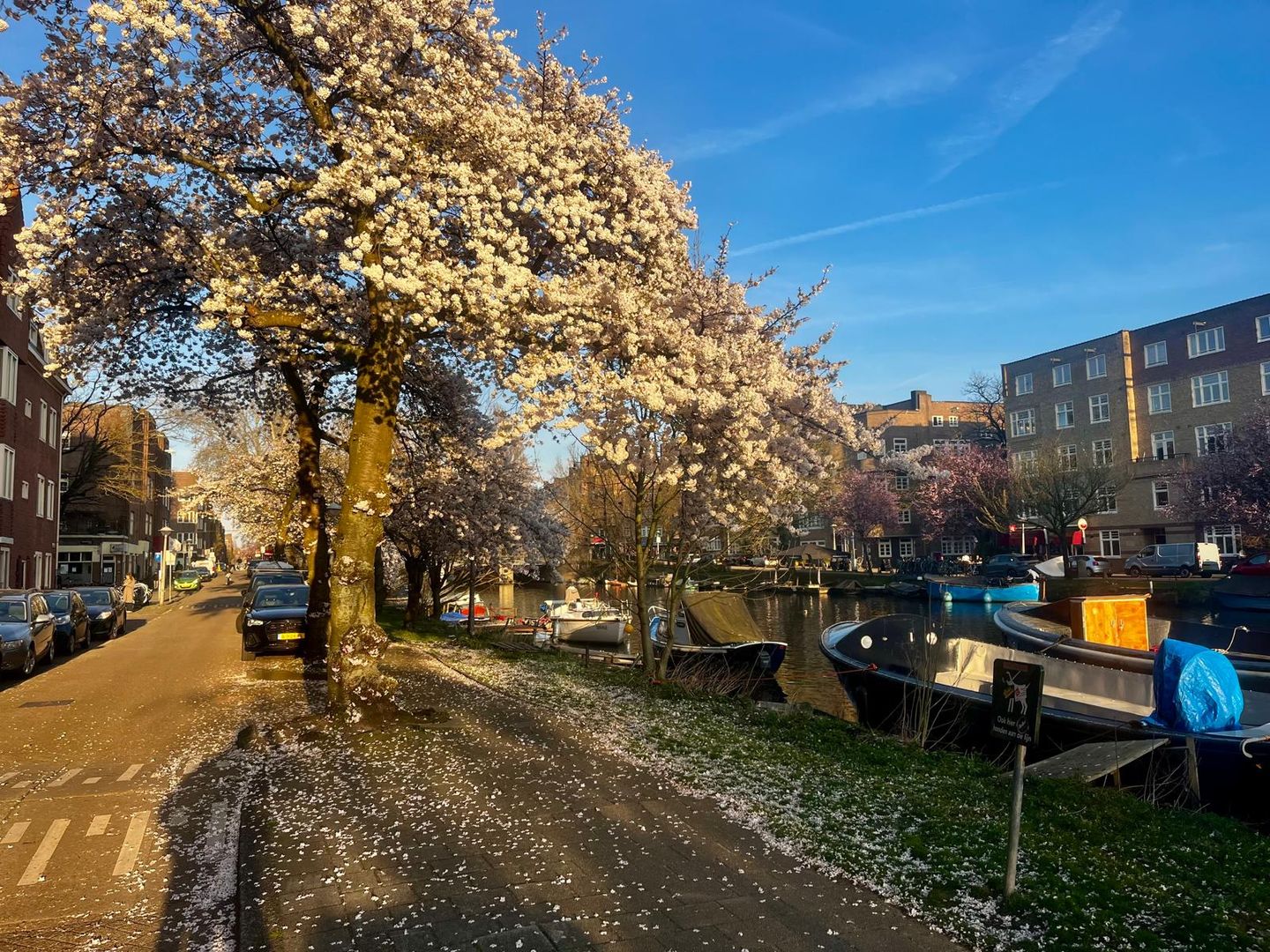 Granaatstraat 38, Amsterdam foto-35