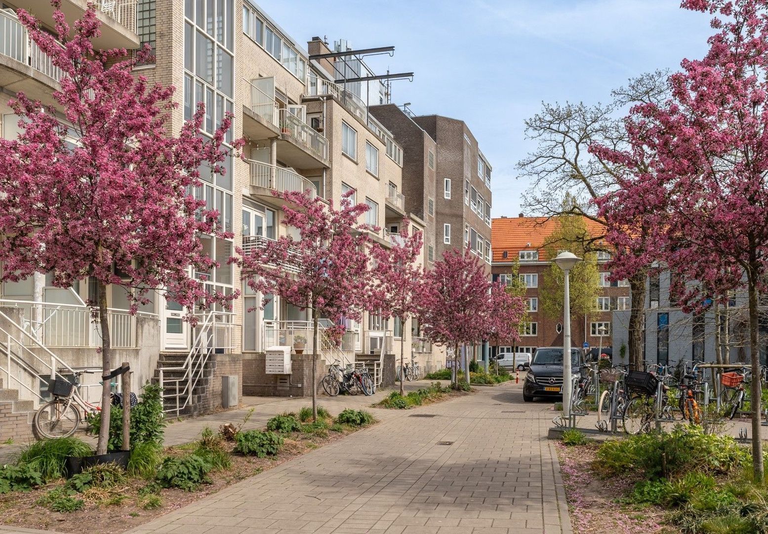 Lizzy Ansinghstraat 121, Amsterdam foto-25