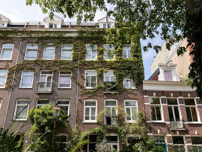 Gijsbrecht van Aemstelstraat 5 3, Amsterdam