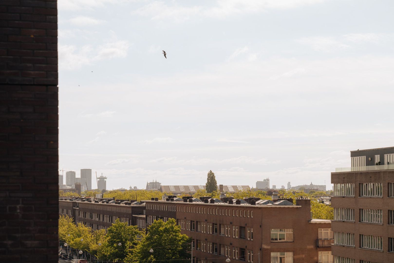 Bos en Lommerplein 228, Amsterdam foto-10