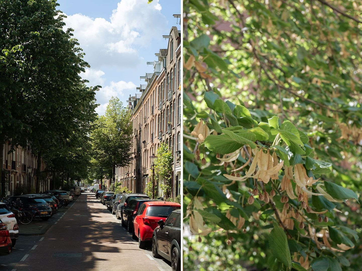 Staringstraat 18 1, Amsterdam foto-24