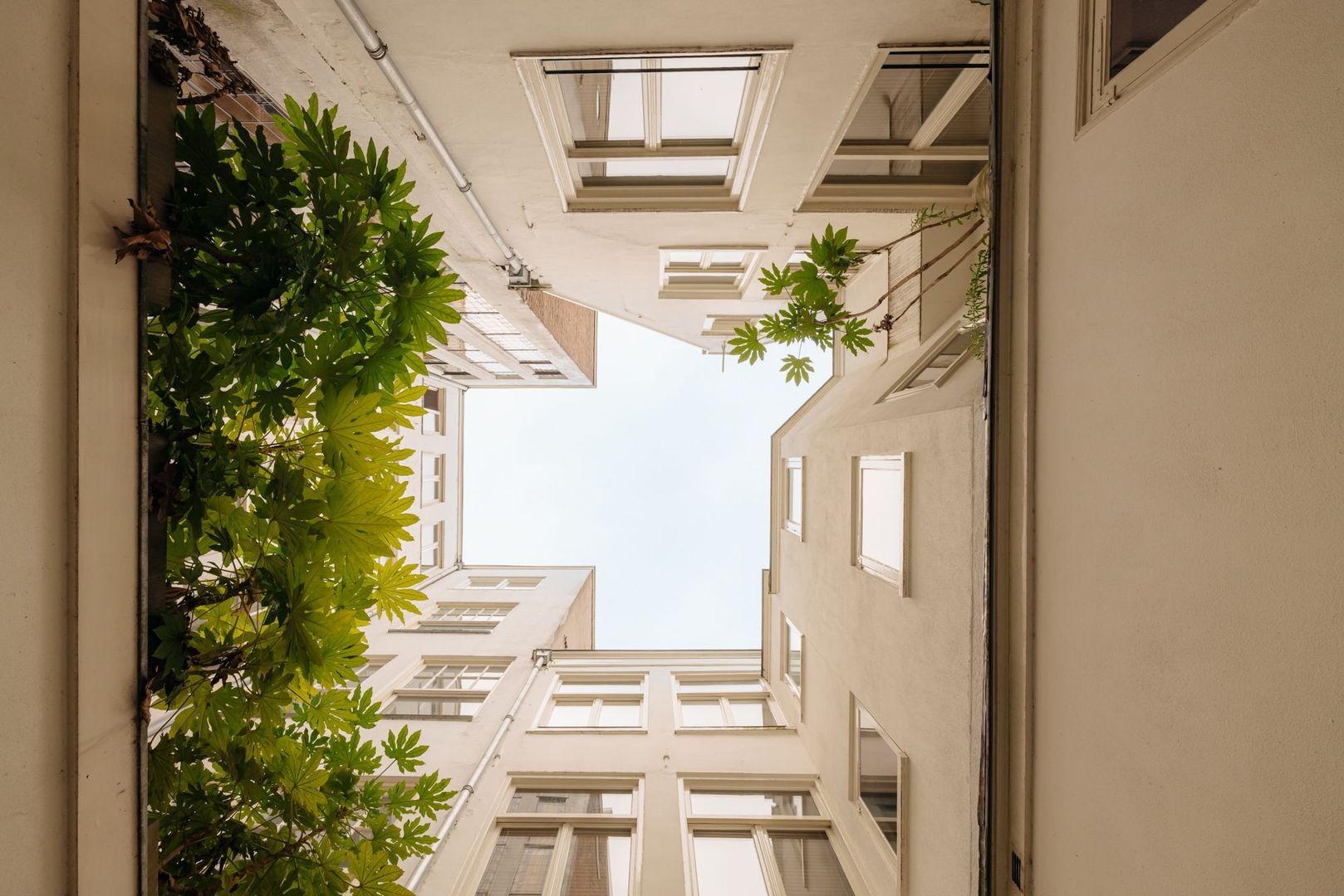 Herengracht 242 A, Amsterdam foto-12