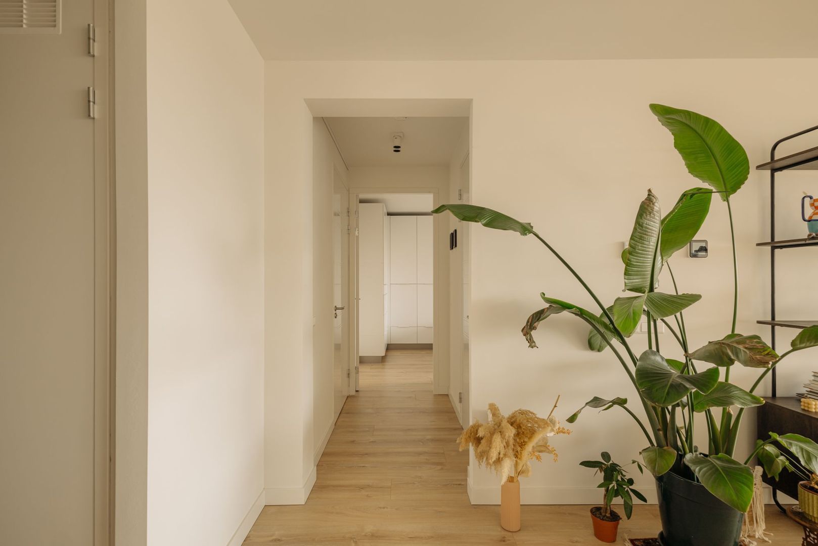 Badhuiskade 137, Amsterdam foto-11