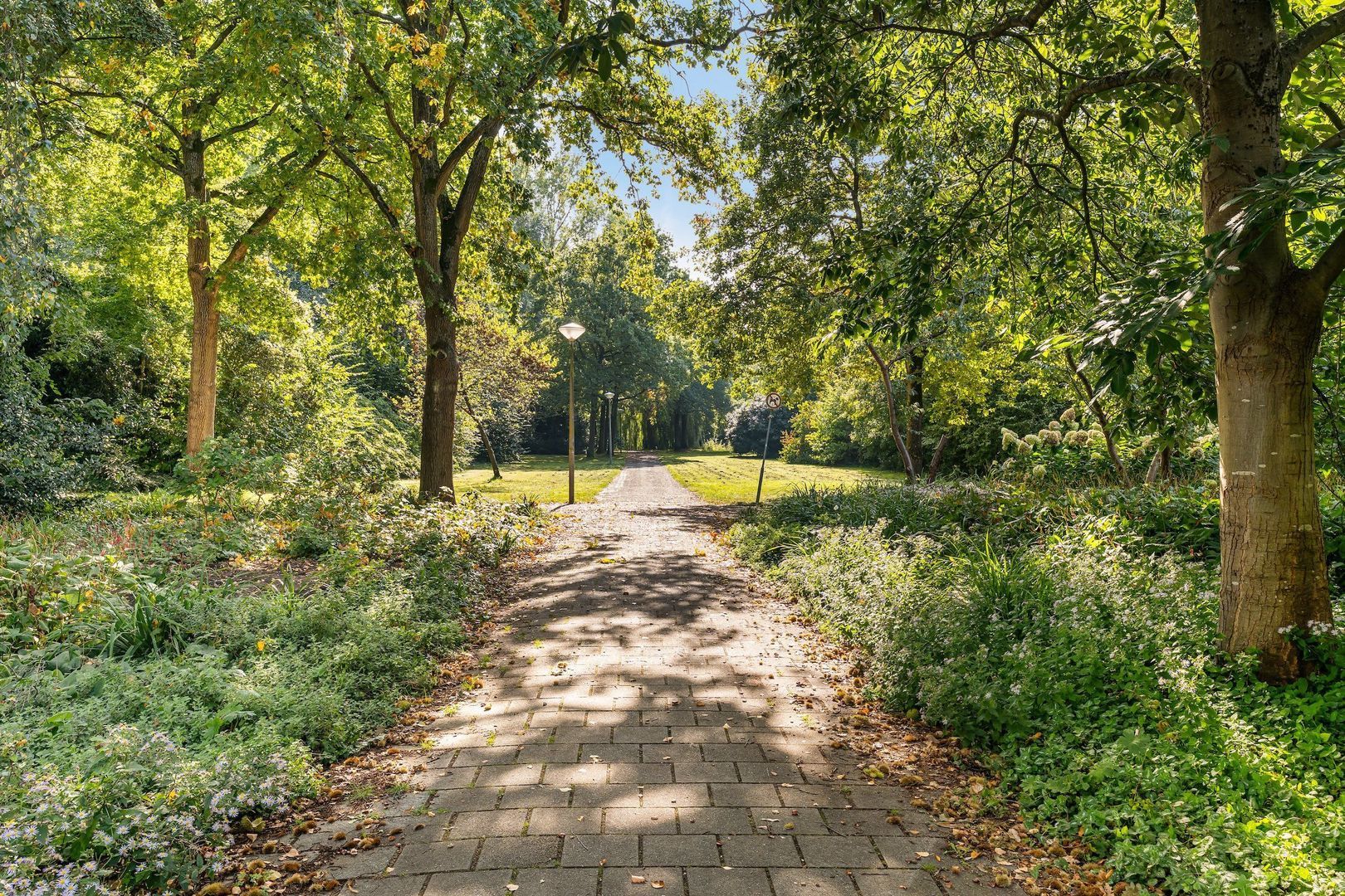 Bolestein 290, Amsterdam foto-34