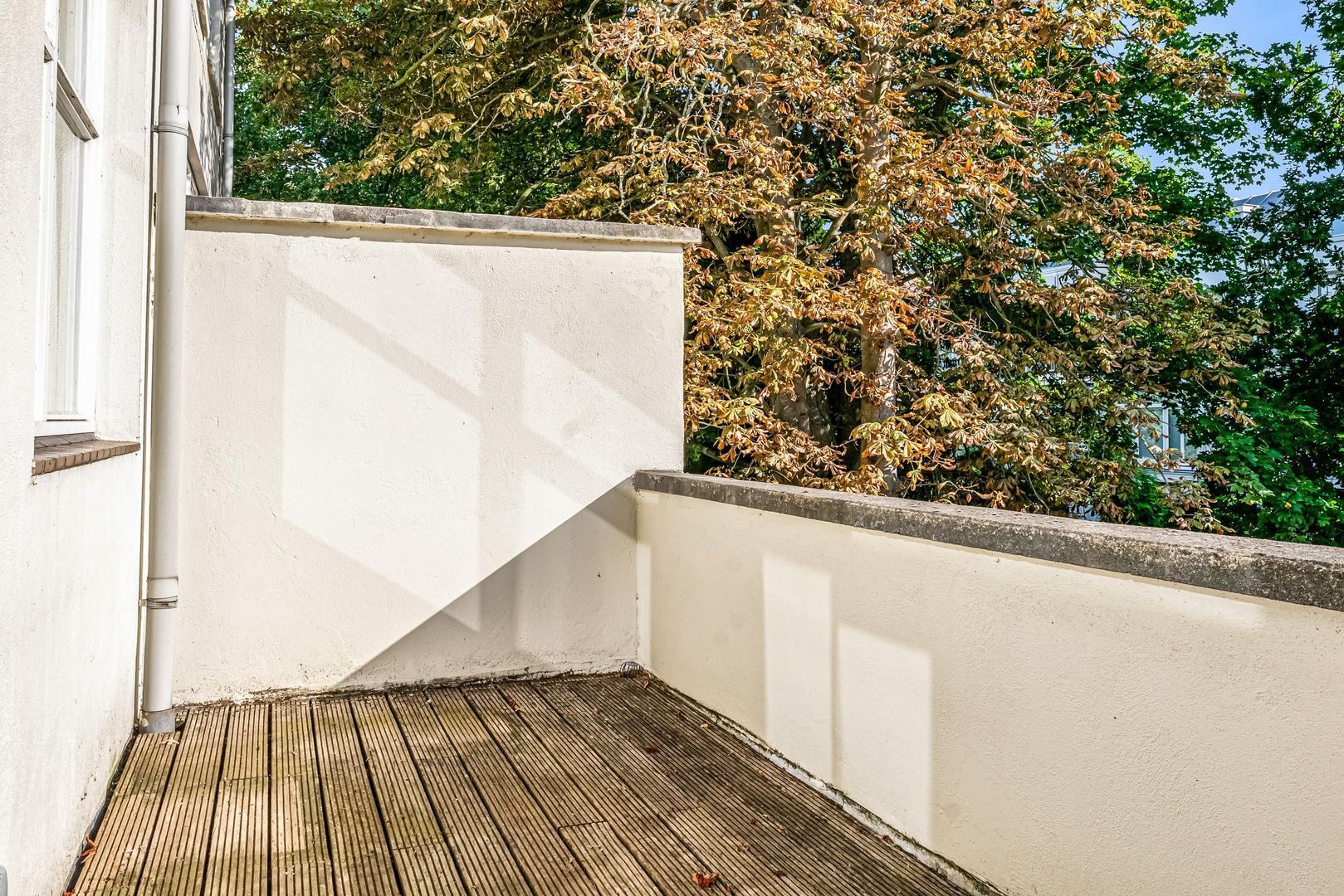 Balistraat 47 F, Den Haag foto-9