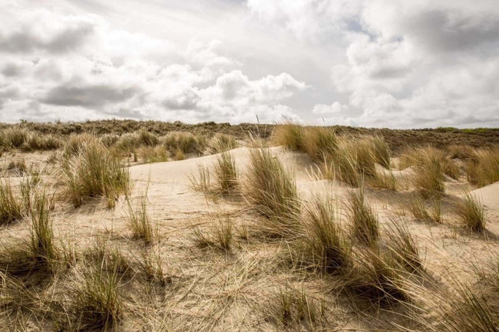 Irisplein 19, Den Haag foto-31